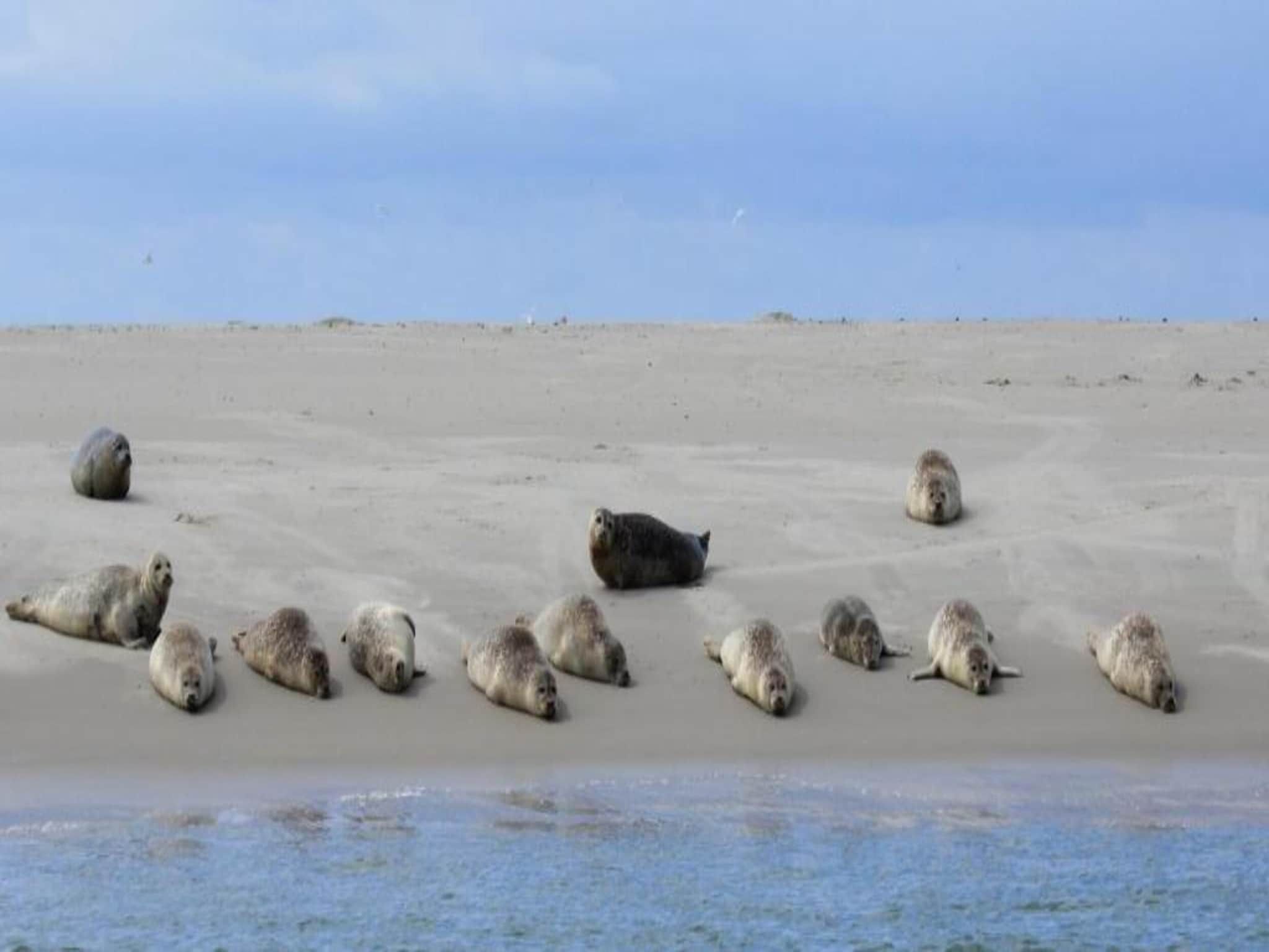 Bosch en Zee 3 in De Koog Texel - Foto 31 van 39