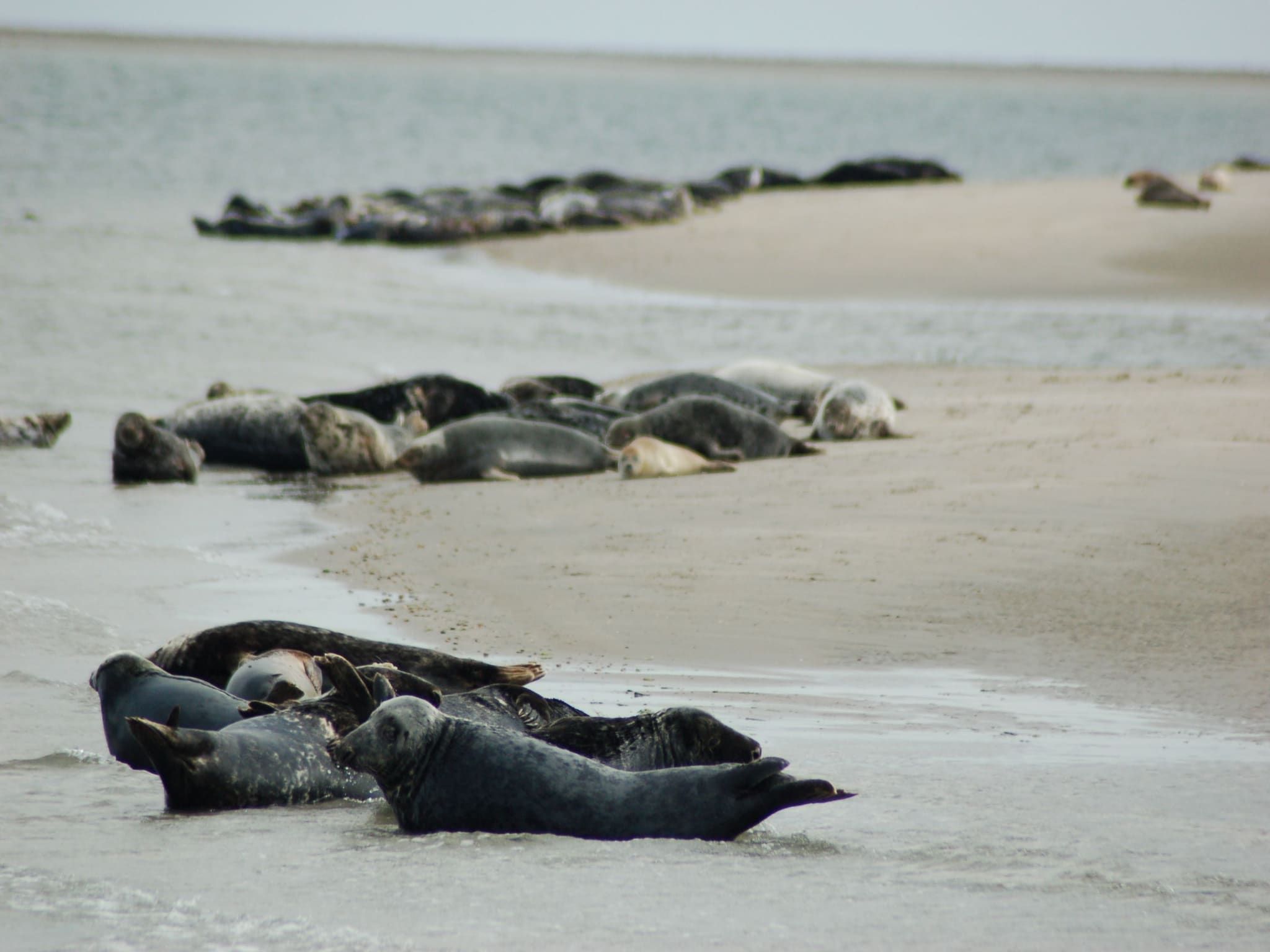 Bosch en Zee 1 in De Koog Texel - Foto 19 van 40