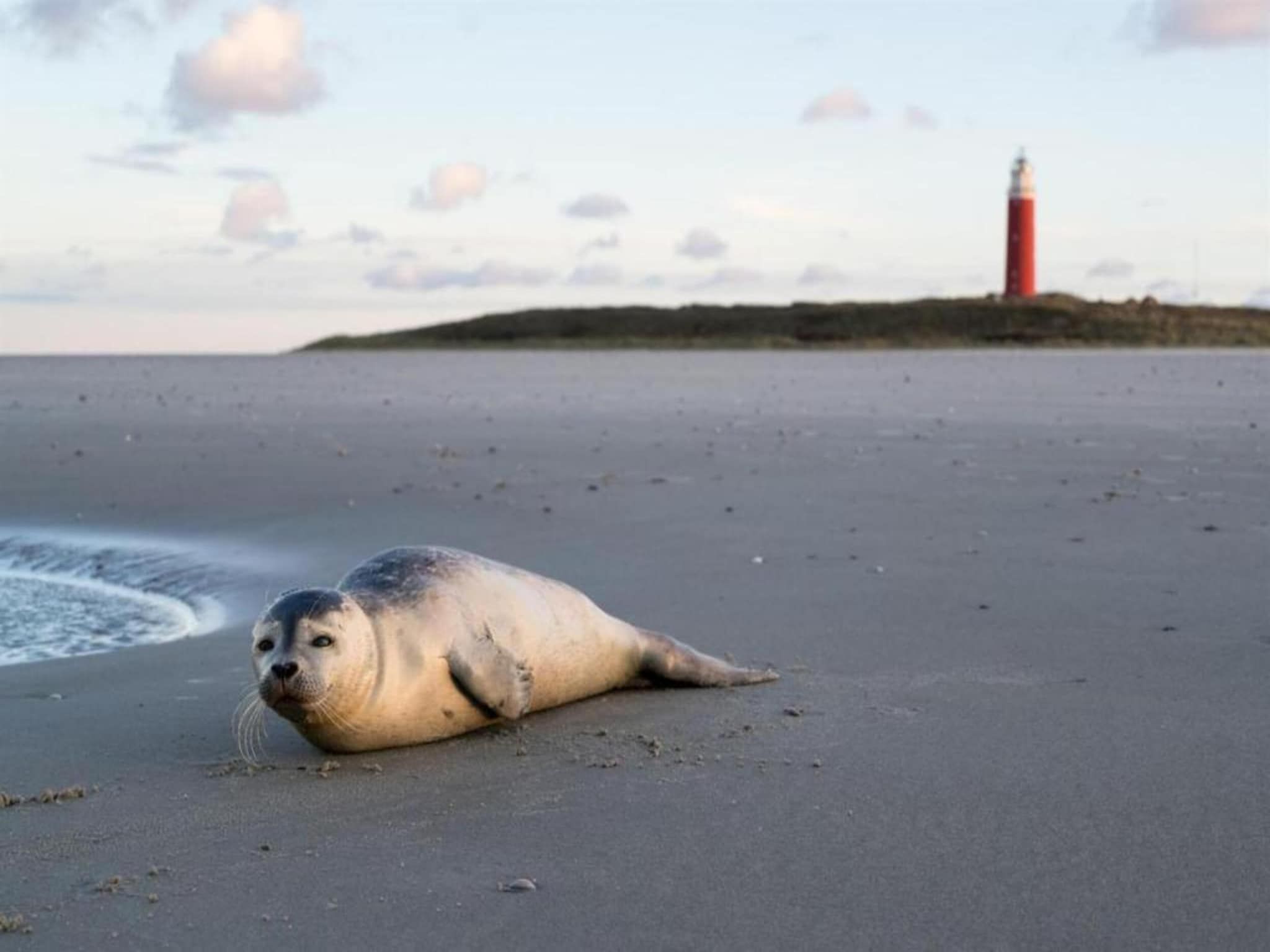 Bosch en Zee 1 in De Koog Texel - Foto 40 van 40