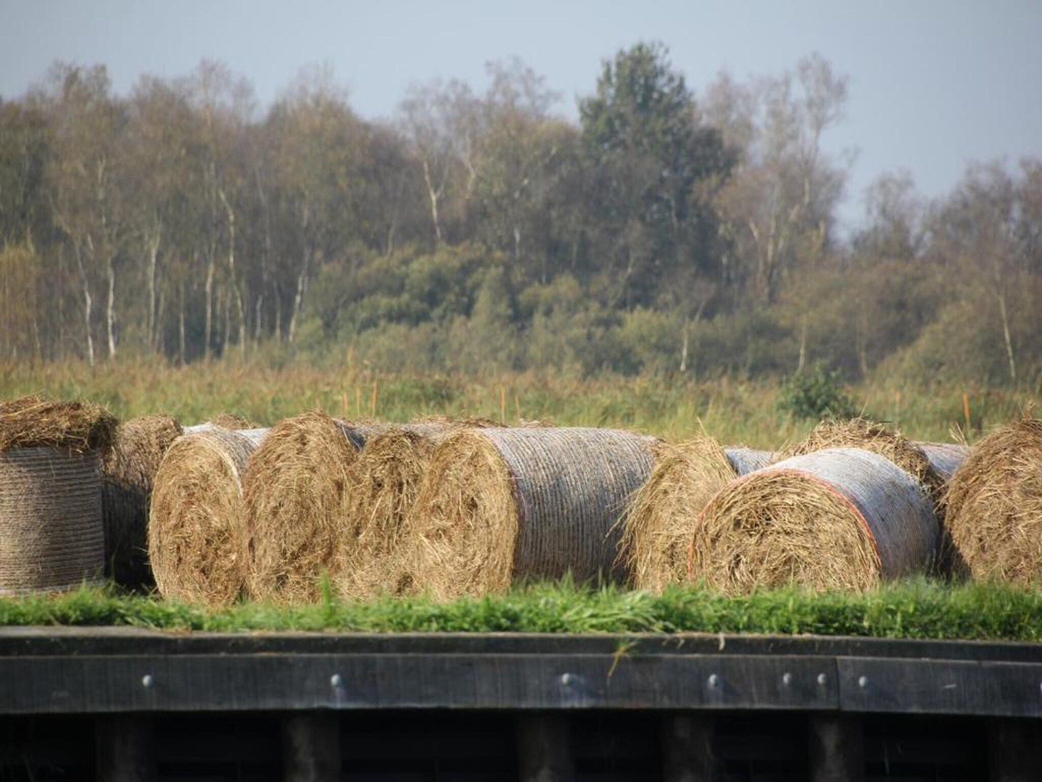Waterstaete Ossenzijl 3 in Ossenzijl - Foto 34 van 36