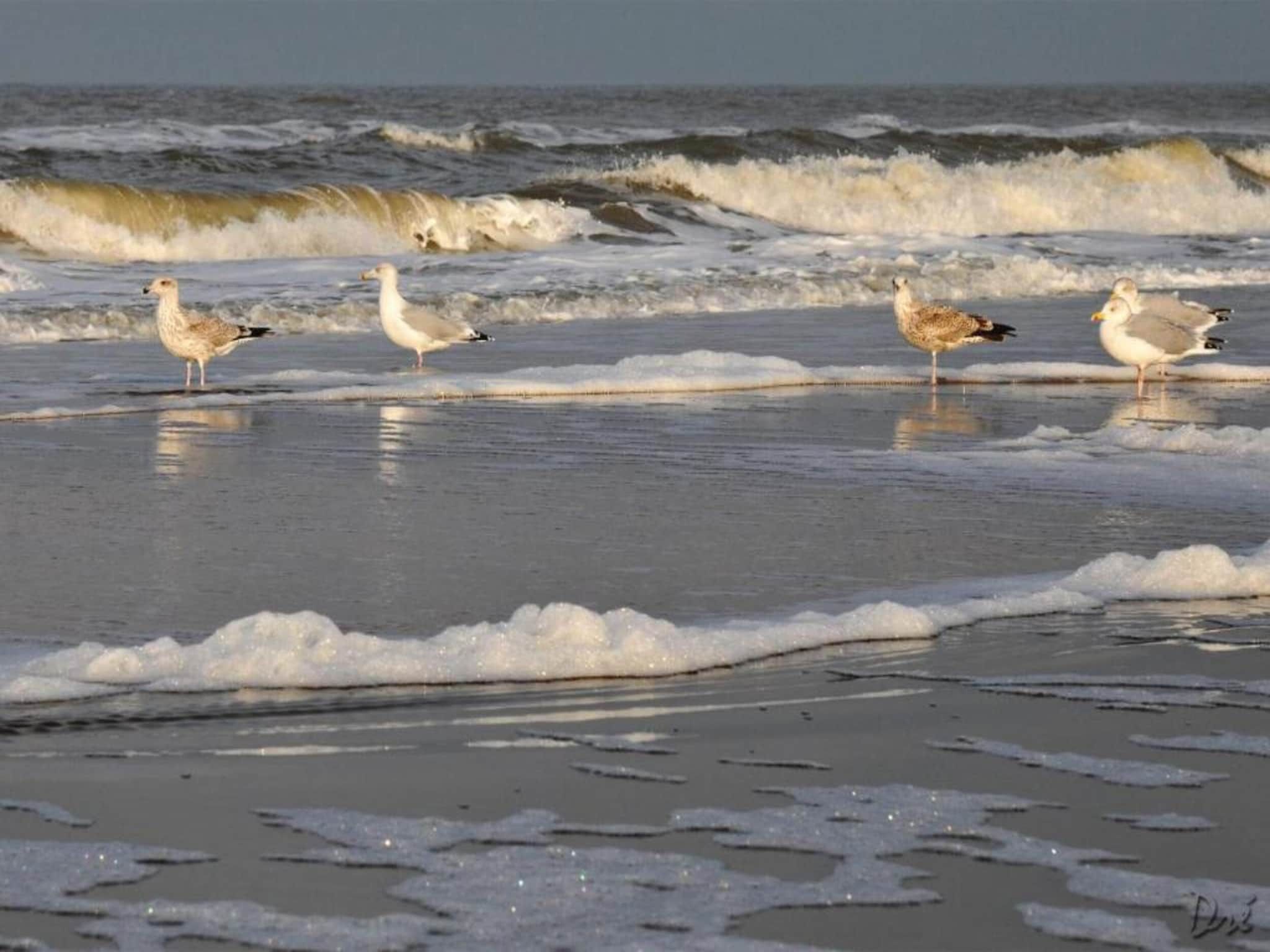 HuizeDuin in Egmond aan Zee - Foto 34 van 40