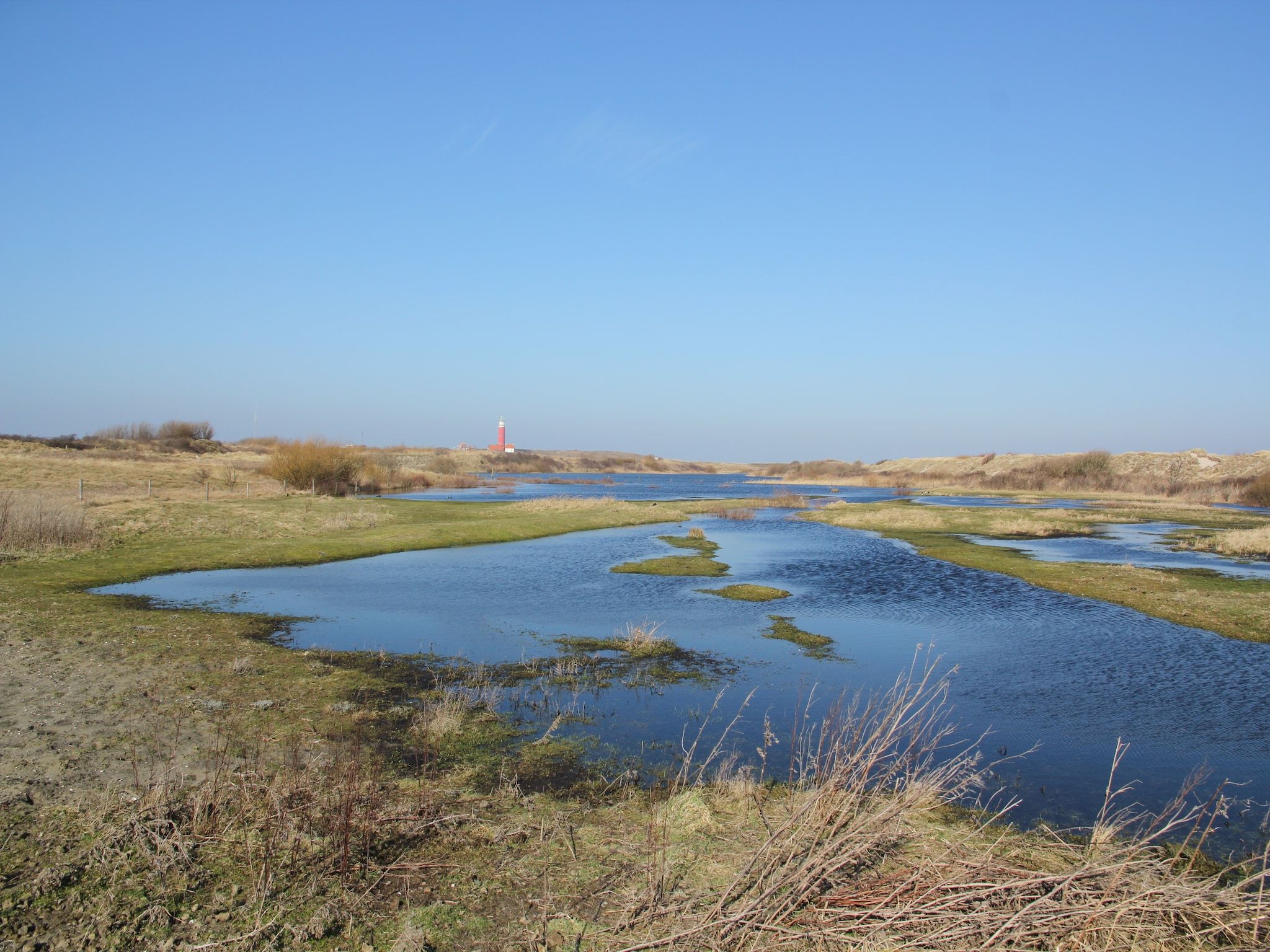 De omgeving van Stoeterij C65 in De Cocksdorp Texel