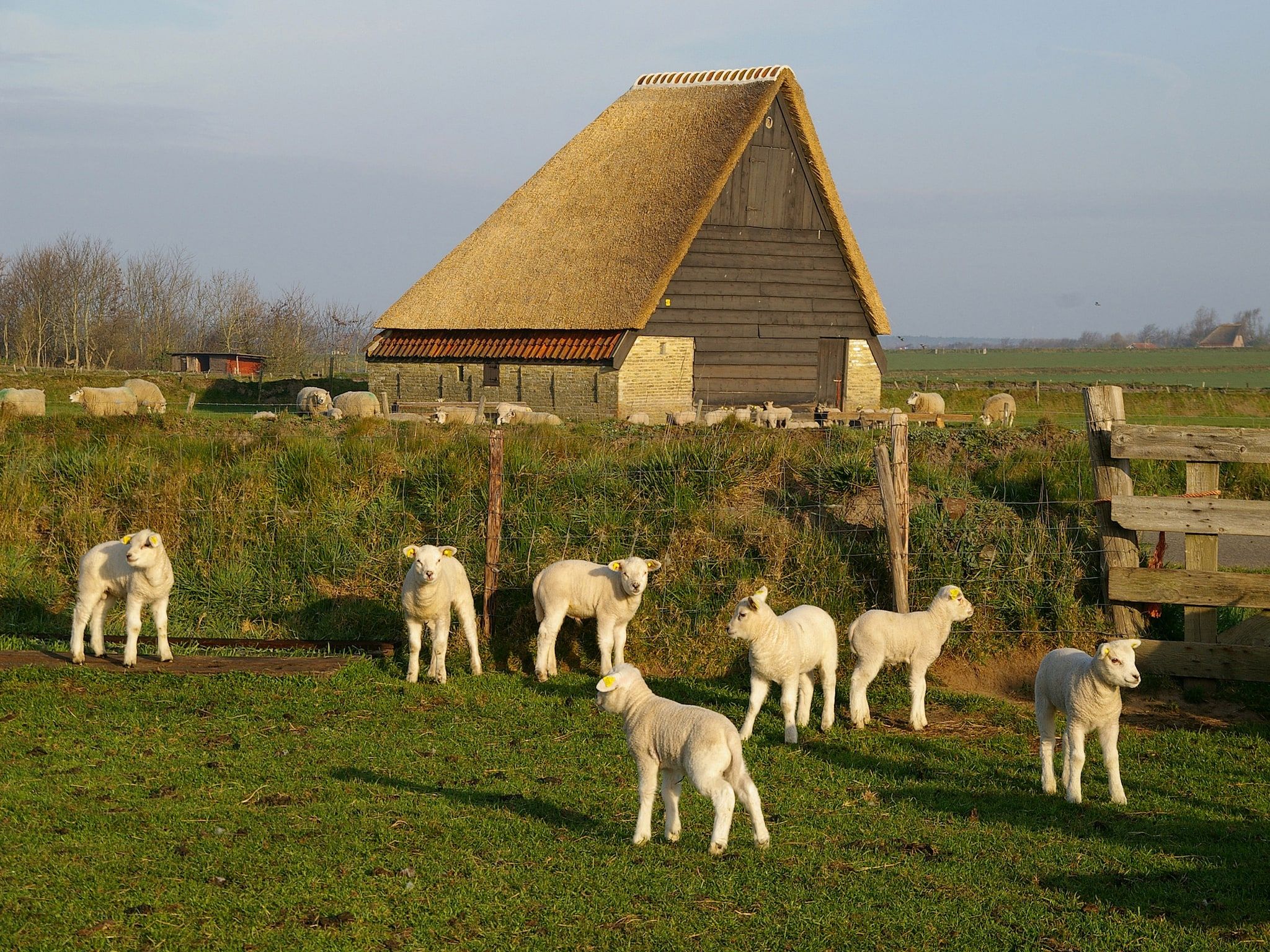 Bungalow Roggesloot A-8a in De Cocksdorp Texel - Foto 23 van 33