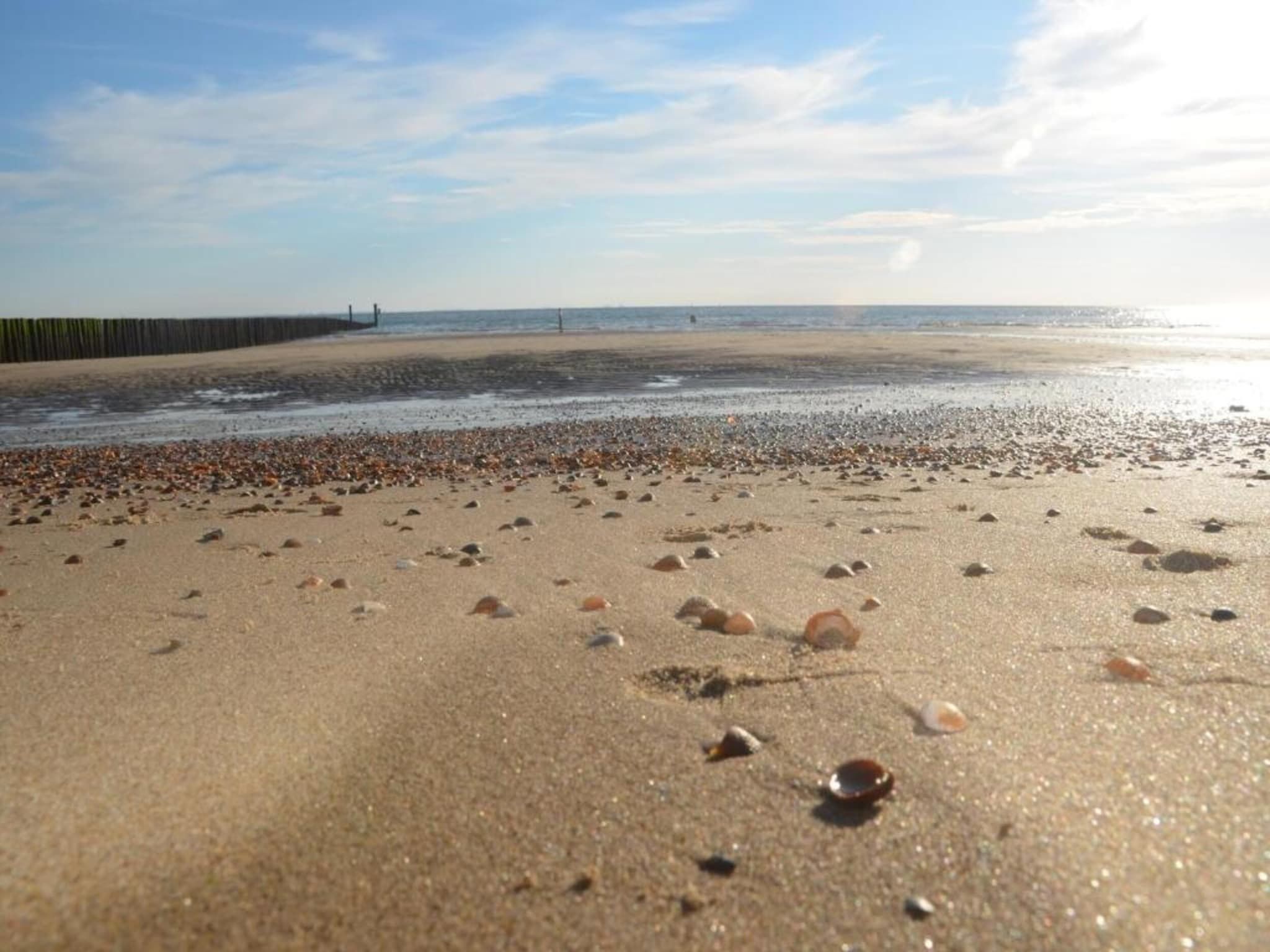 De omgeving van Noordzee Résidence Dishoek 12 in Koudekerke
