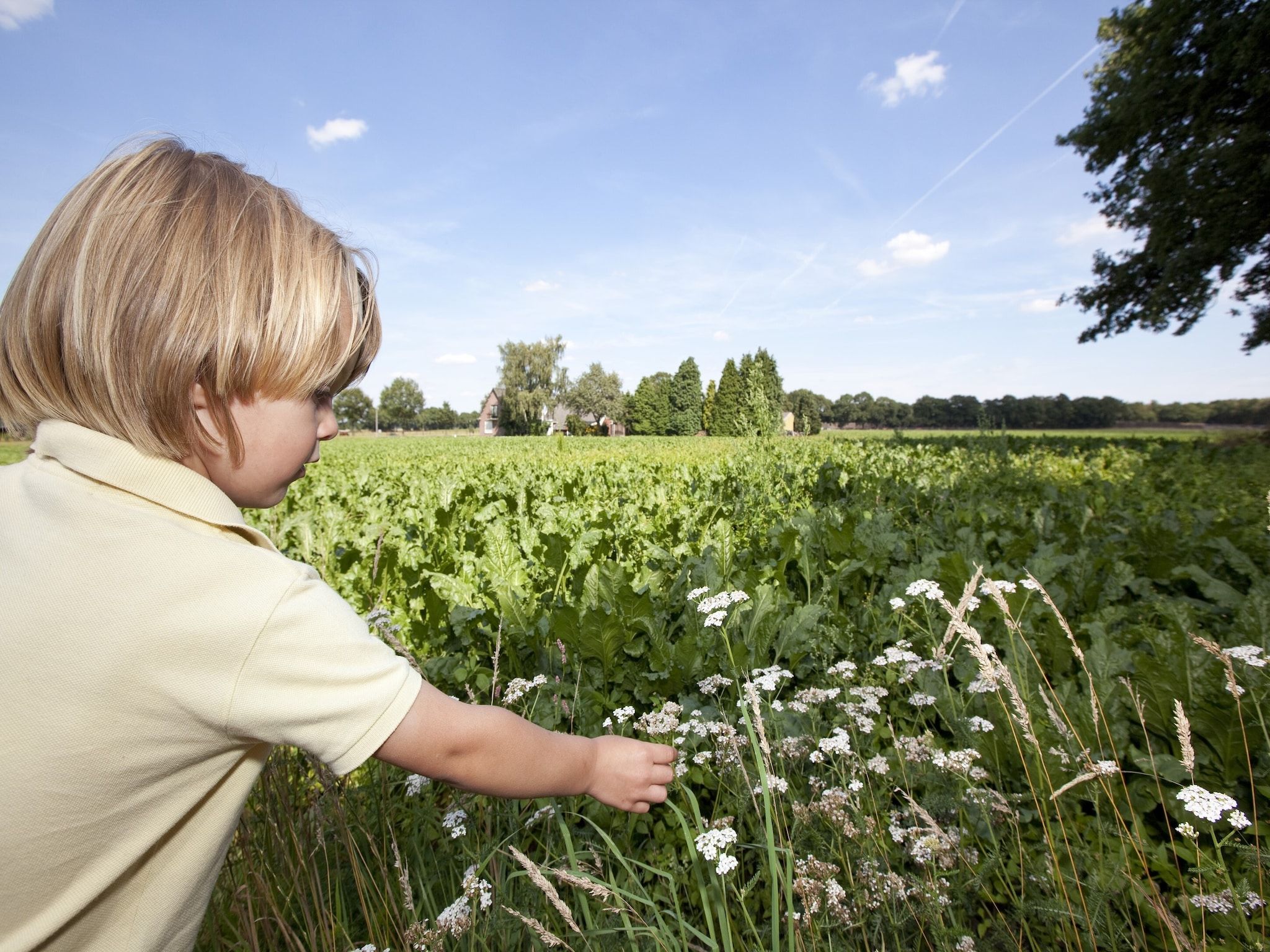De omgeving van Vakantiepark Hunzedal 11 in Borger