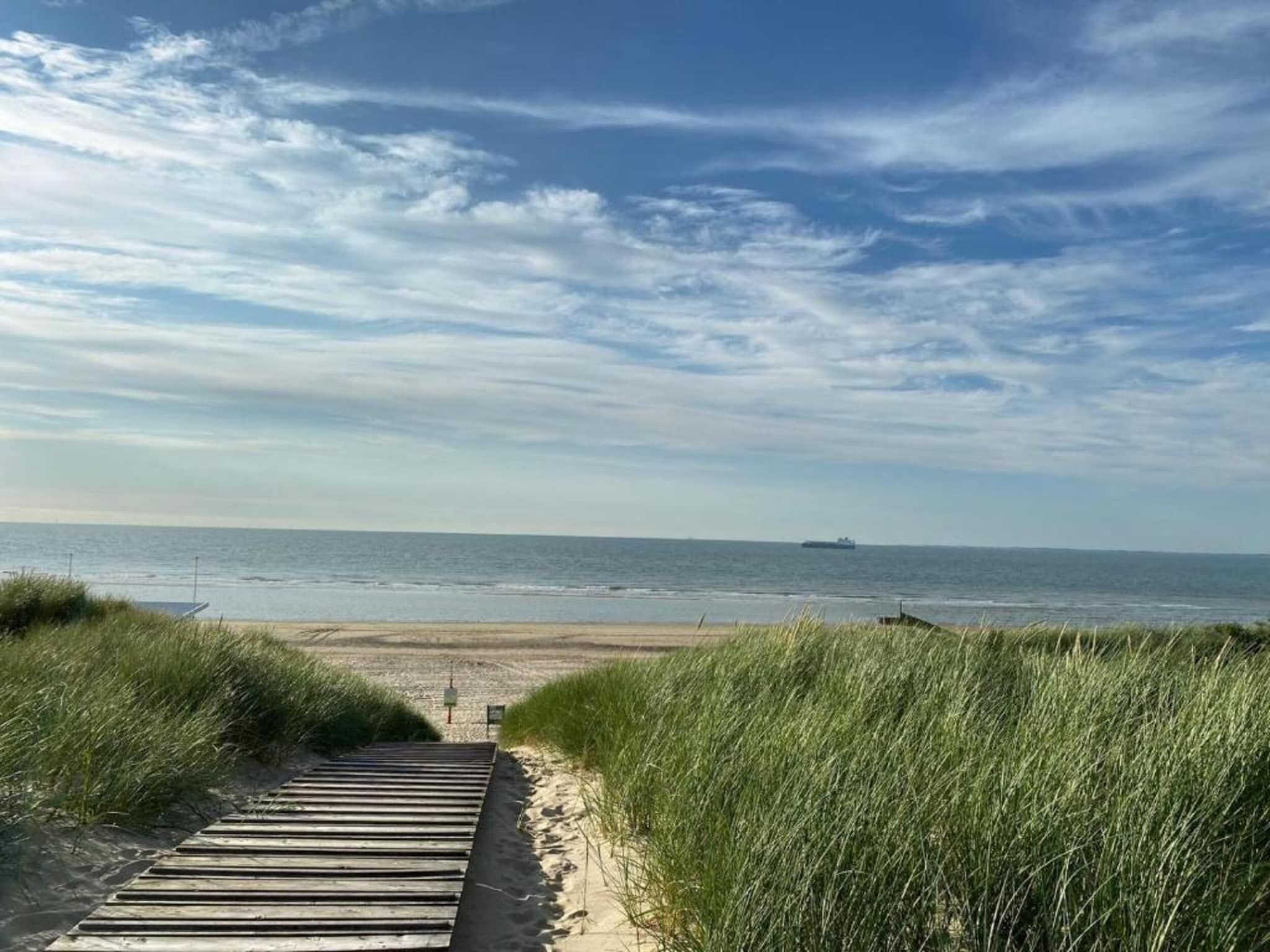 De omgeving van Beach Resort Nieuwvliet-Bad 6 in Nieuwvliet-Bad
