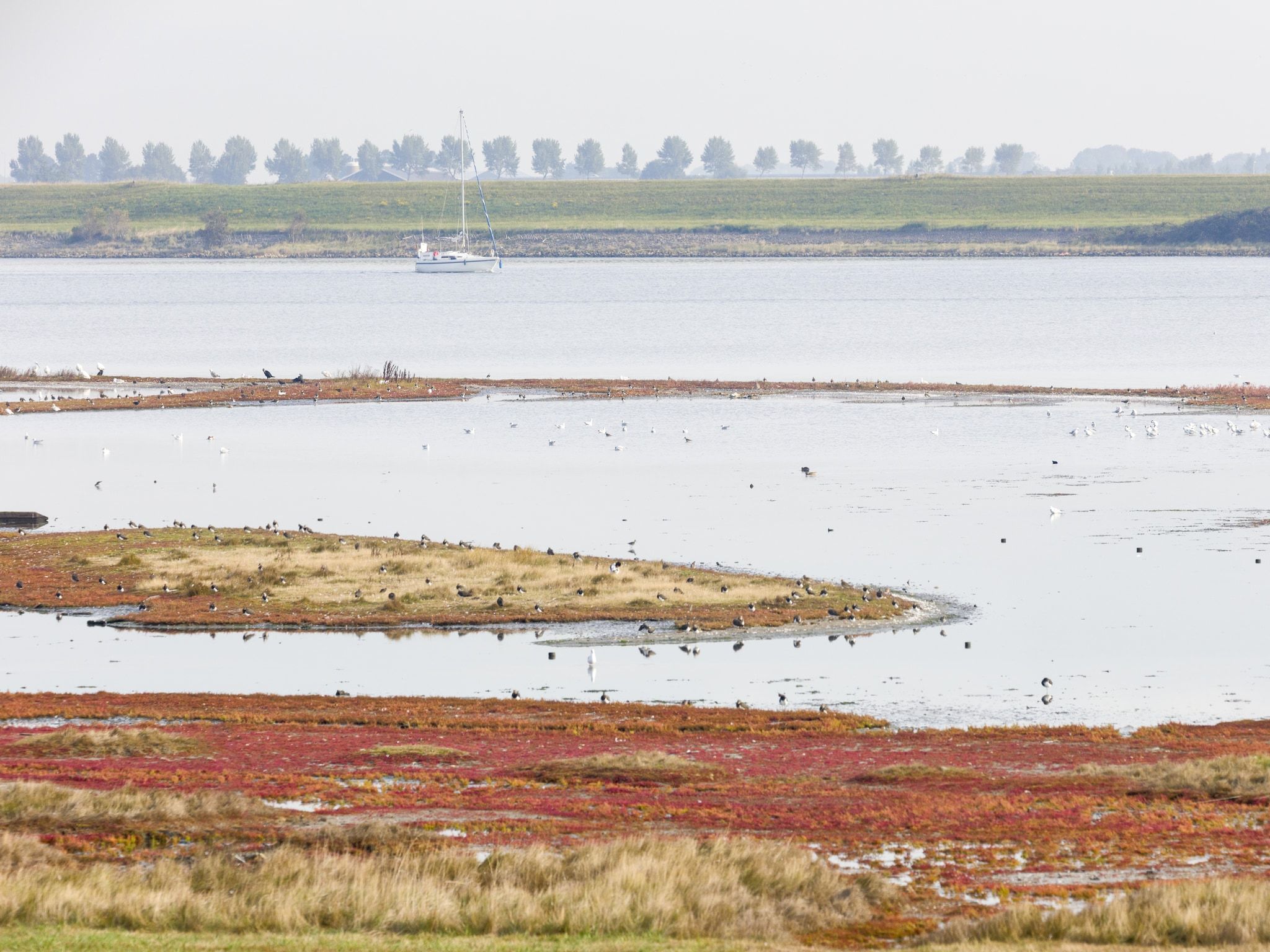 De omgeving van Harbour Village 2 in Arnemuiden