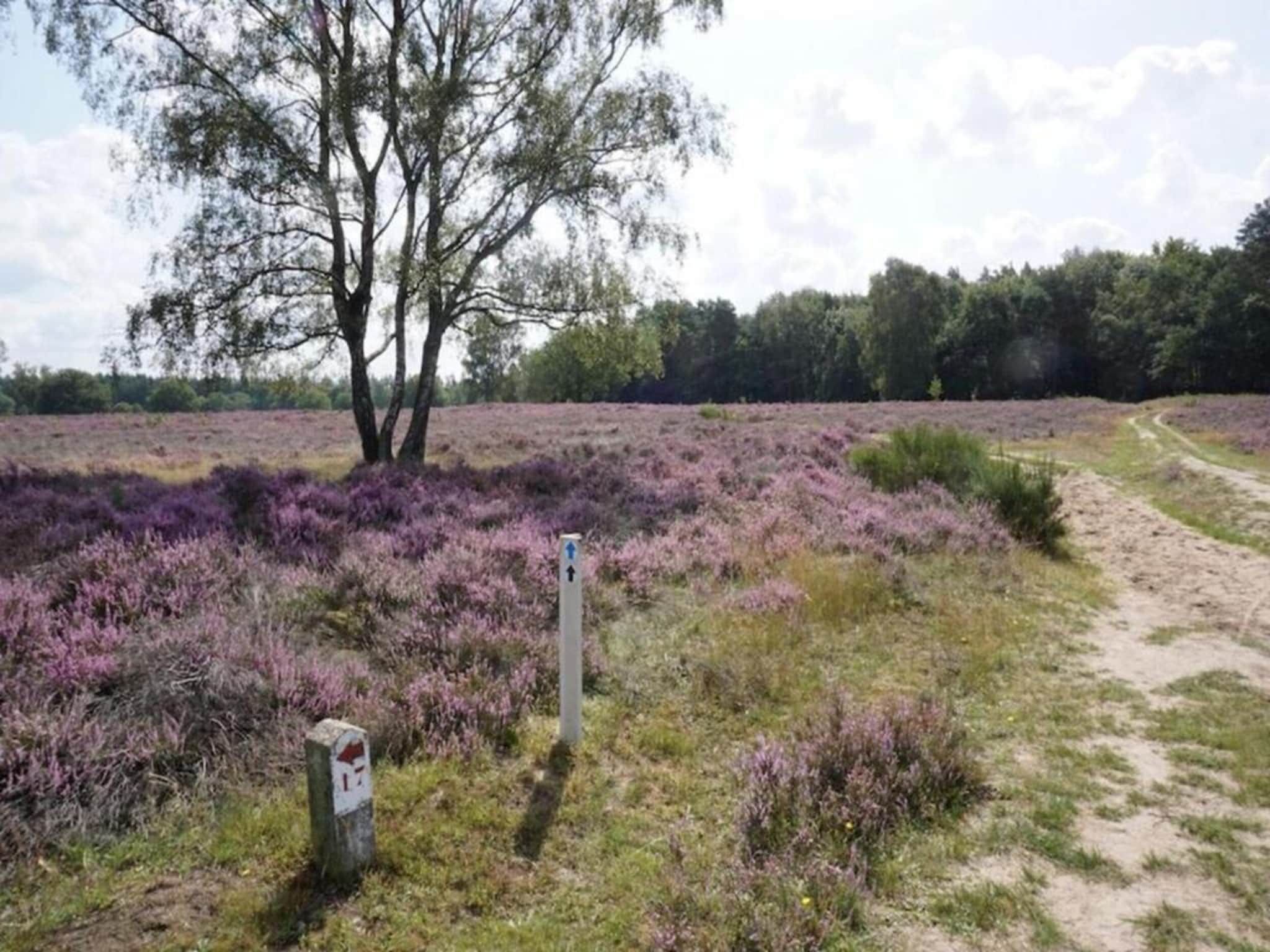 De omgeving van Hof van Salland 9 in Hellendoorn