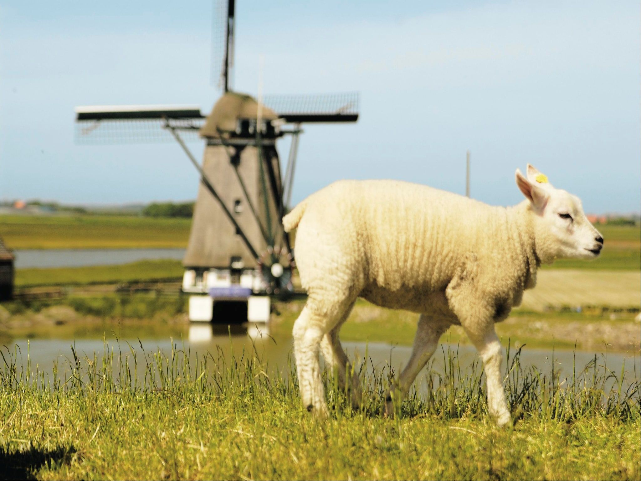 Sfeerbeeld van Kustpark Texel 12 in De Koog