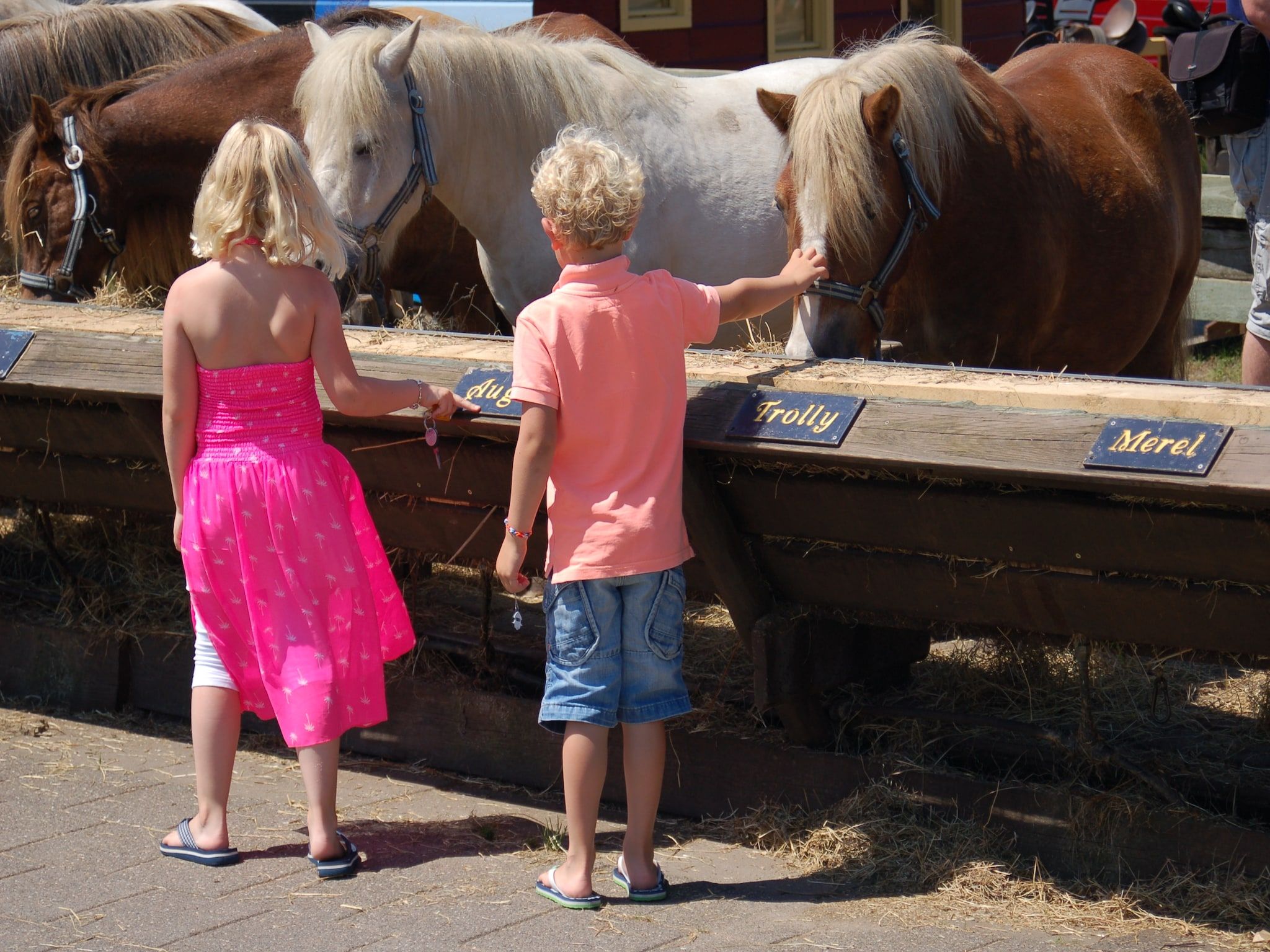 Sfeerbeeld van Kustpark Texel 12 in De Koog