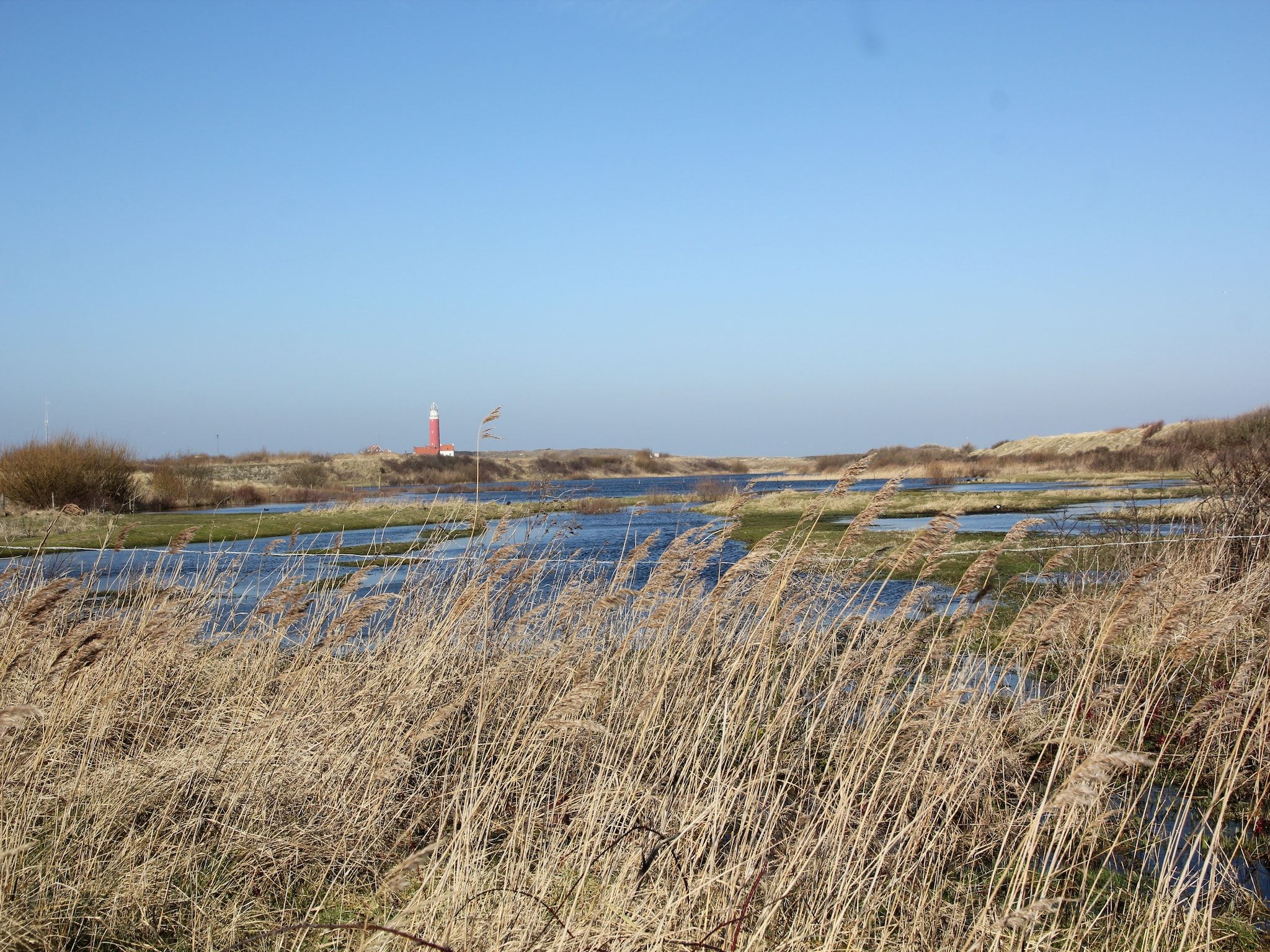 De omgeving van De Koog  nr 5 - 6 pers woning de luxe in De Koog Texel