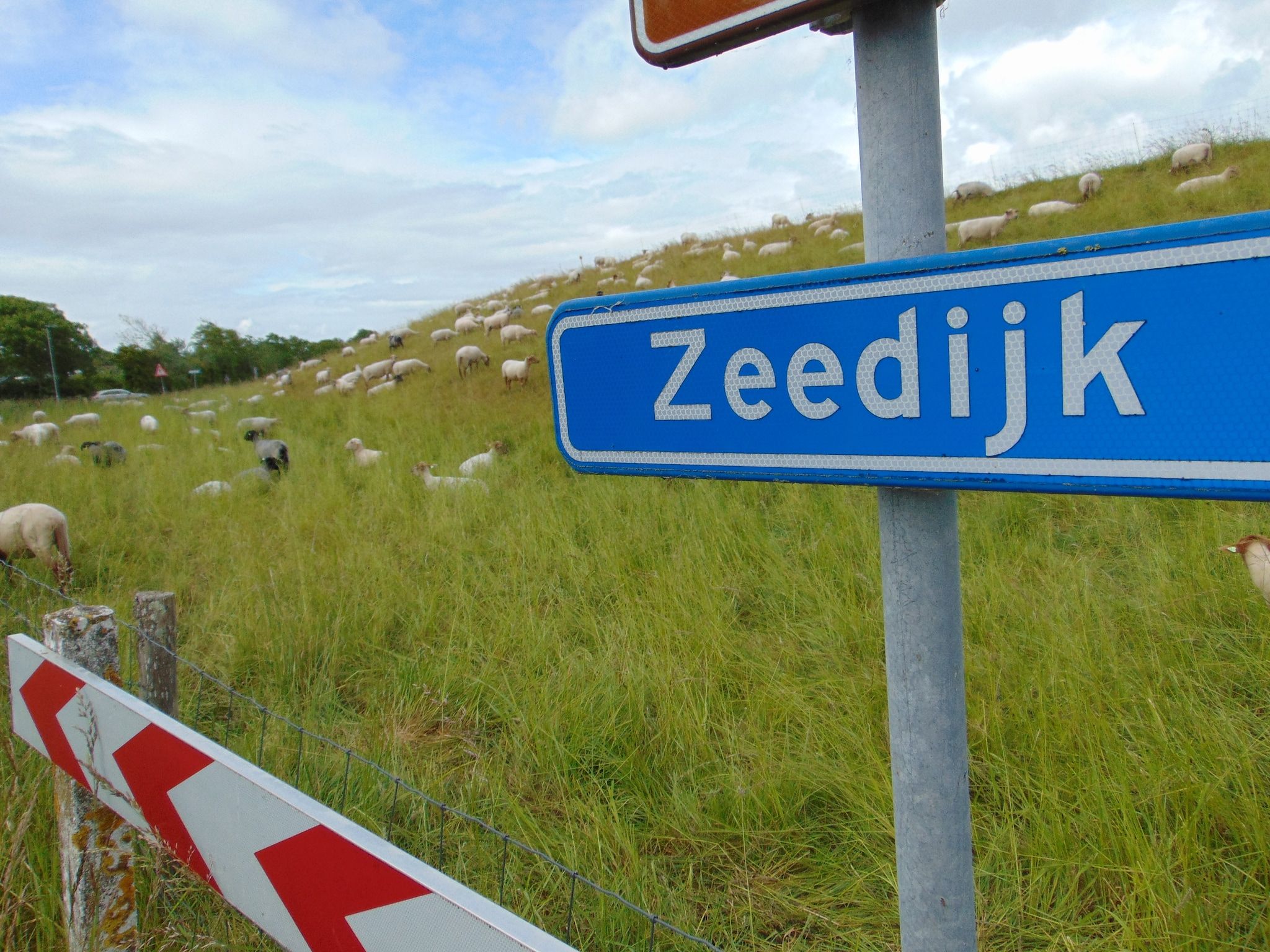 't Verzetje in Nieuwvliet - Foto 32 van 40