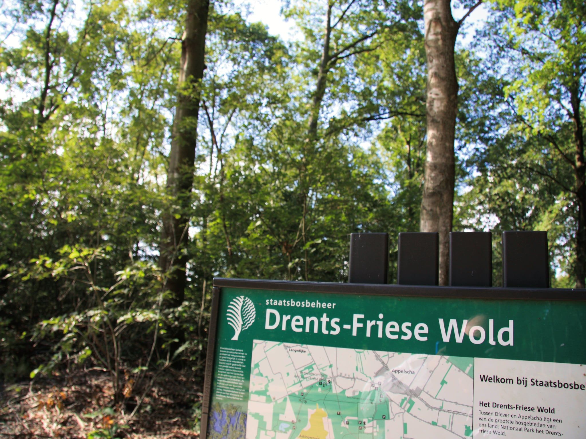 Sfeerbeeld van Het Drentse Wold 4 in Hoogersmilde