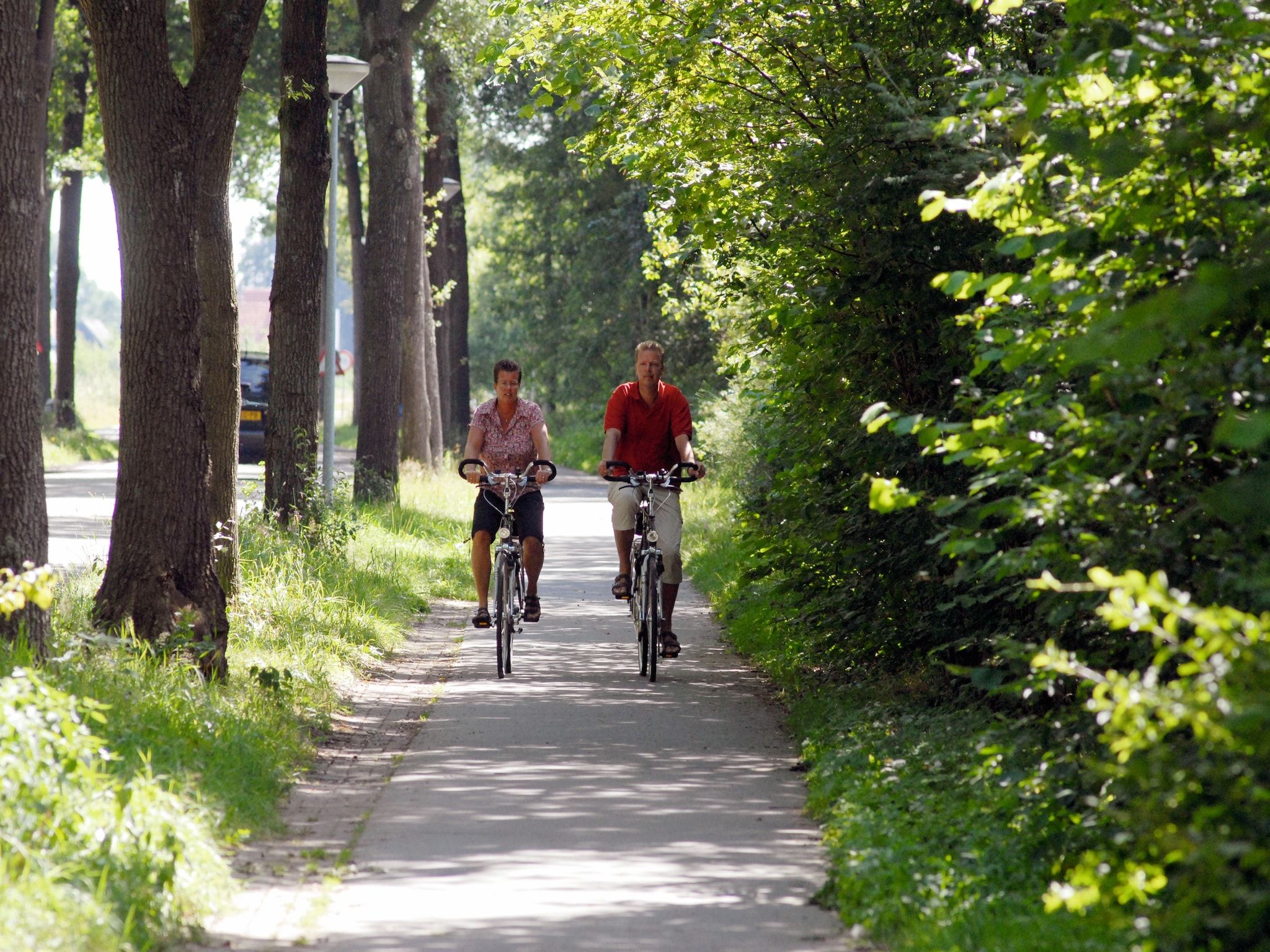 De omgeving van Het Drentse Wold 4 in Hoogersmilde
