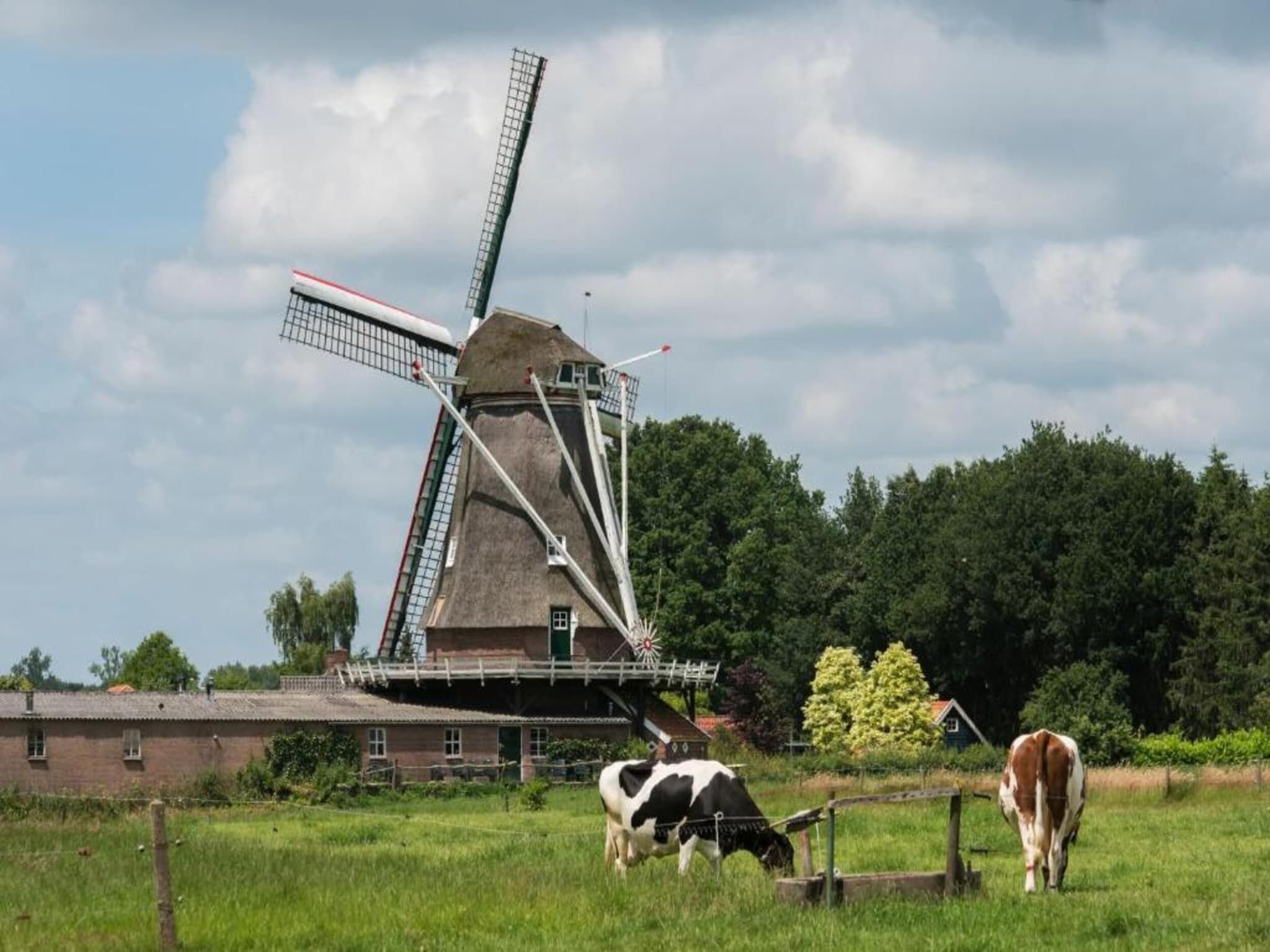 Vakantiepark De Lochemse Berg 1 in Lochem - Foto 33 van 40