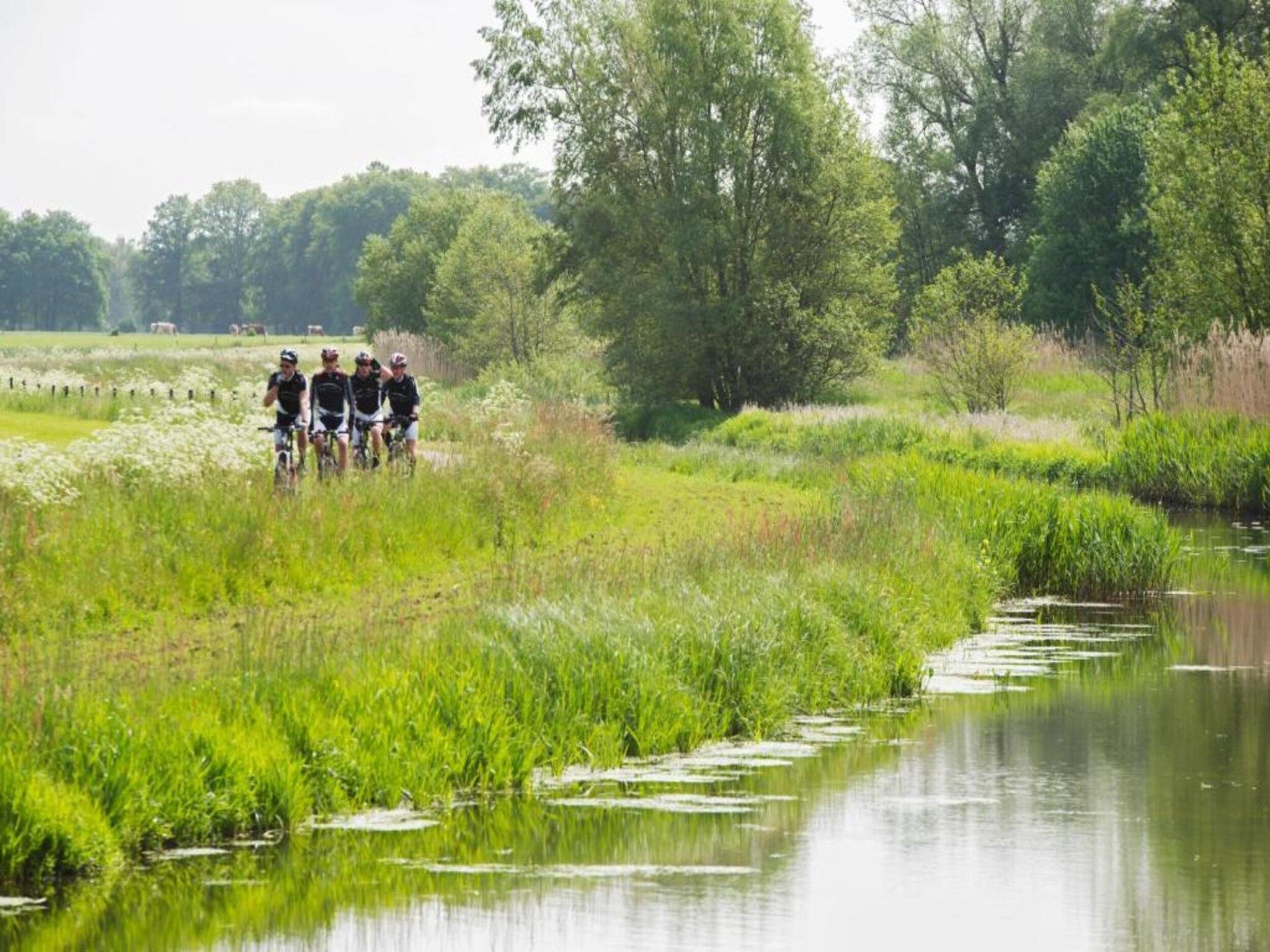Vakantiepark De Lochemse Berg 1 in Lochem - Foto 18 van 40