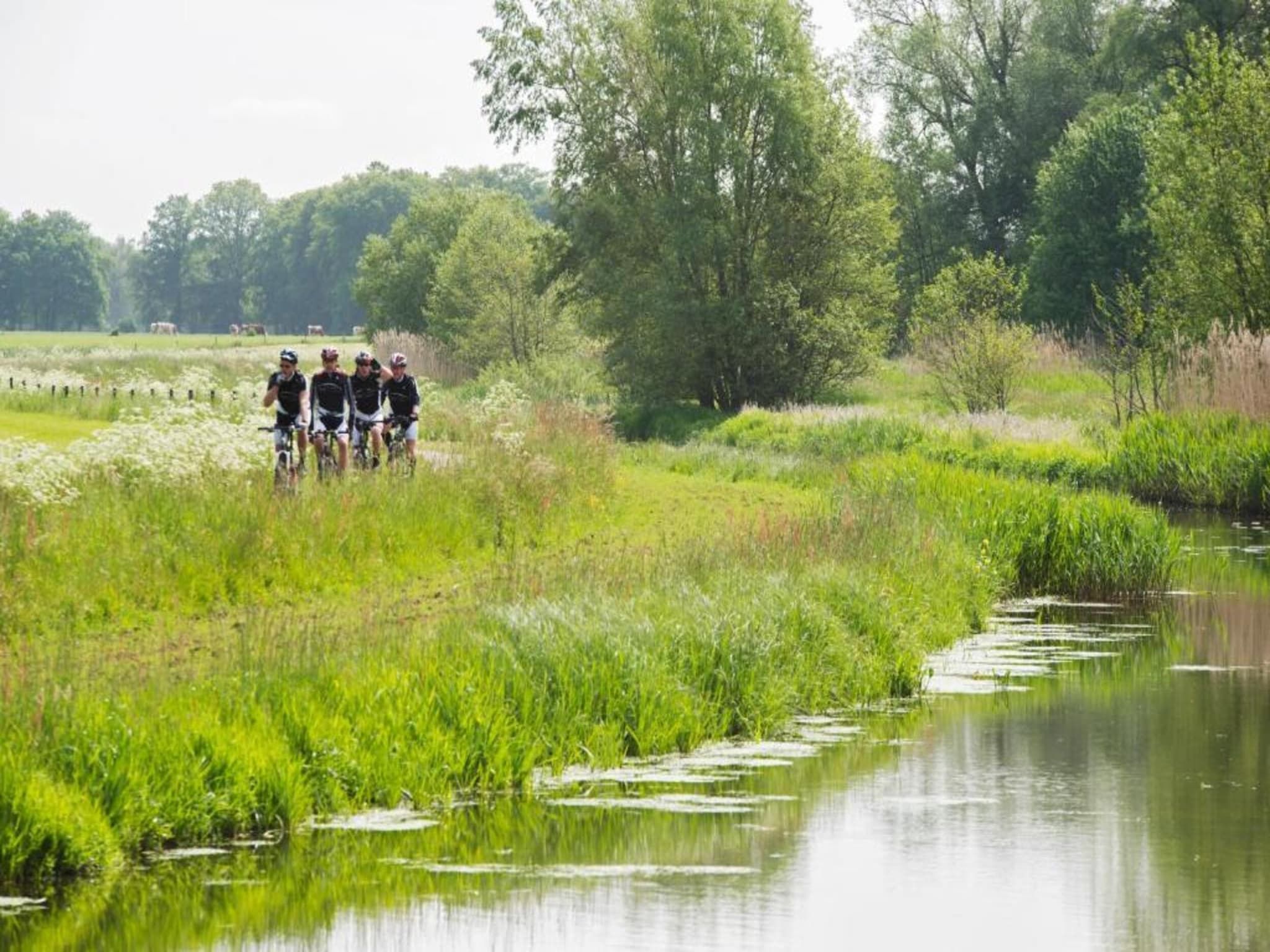 Vakantiepark De Lochemse Berg 2 in Lochem - Foto 19 van 40