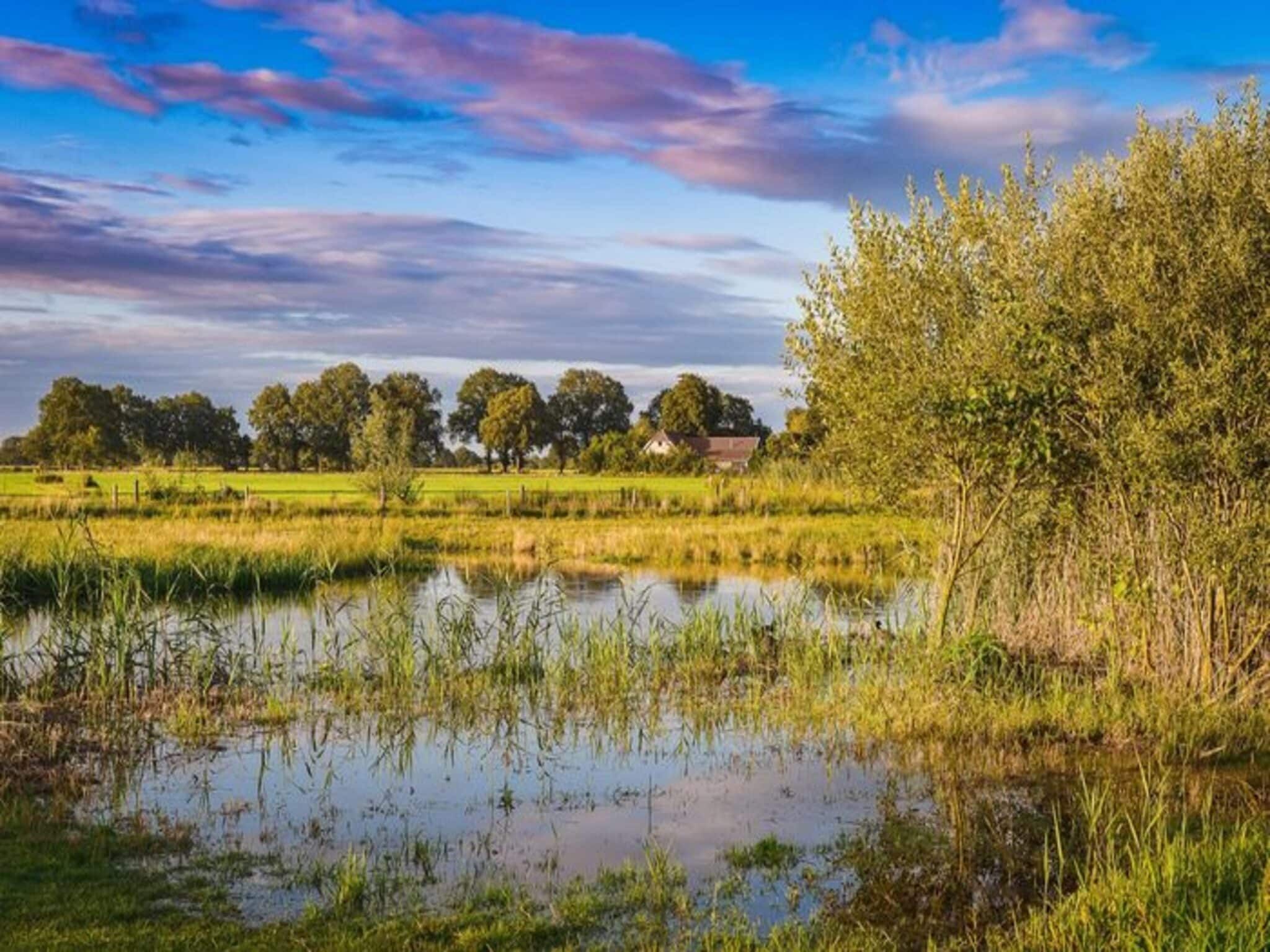 De omgeving van Vakantiepark Mölke 24 in Zuna