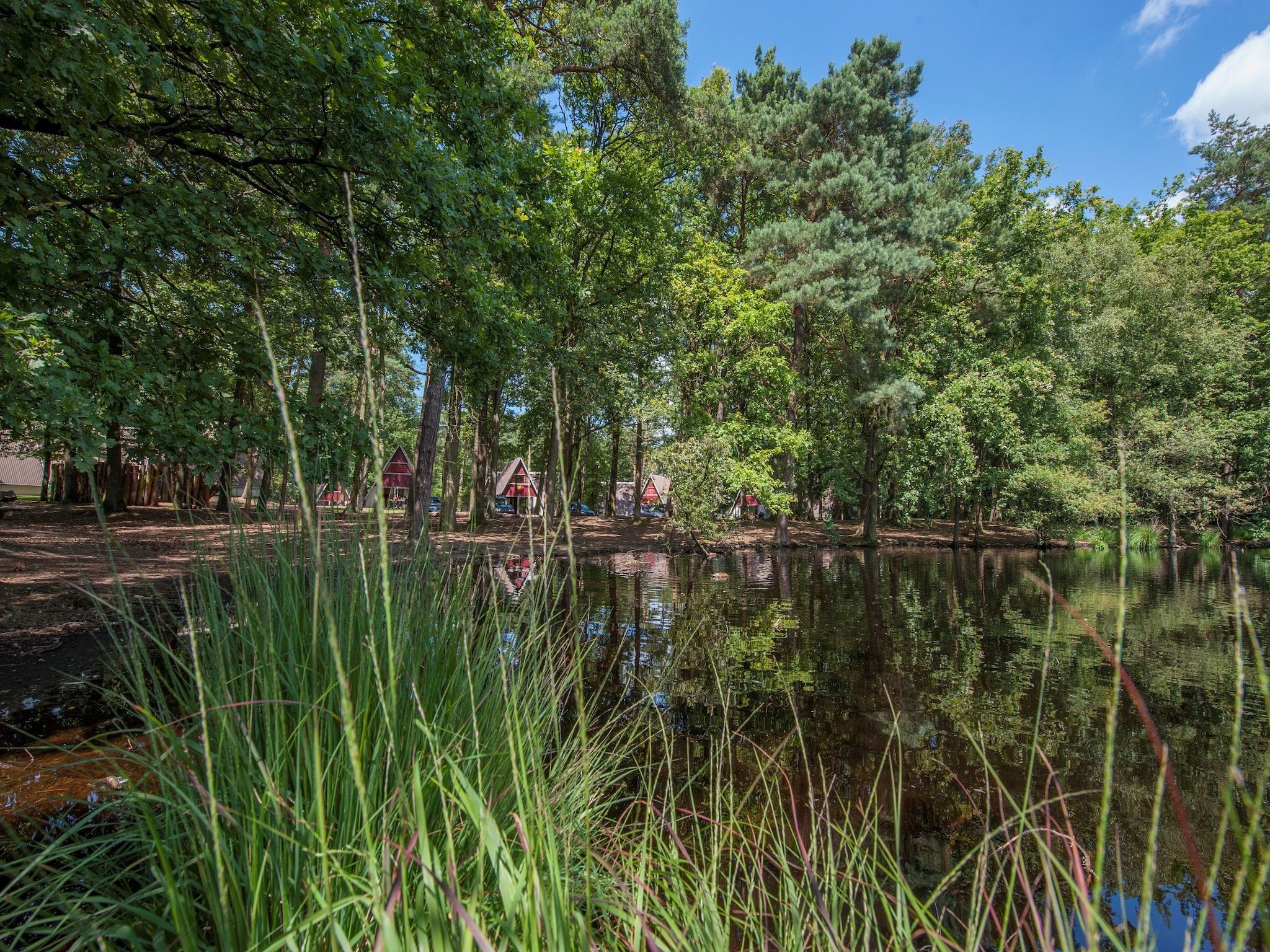 Parkfaciliteiten bij Bospark 't Wolfsven 9 in Mierlo