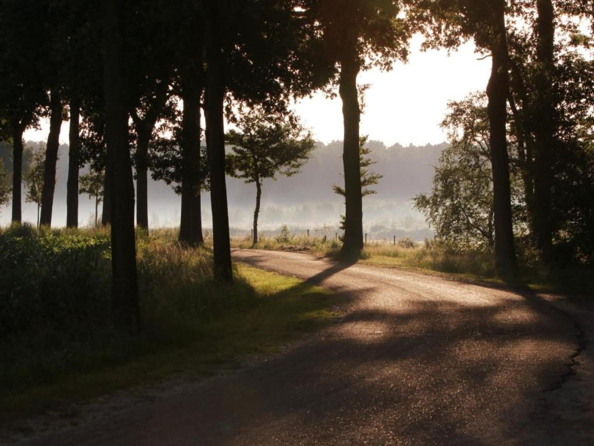 De omgeving van Bospark 't Wolfsven 9 in Mierlo