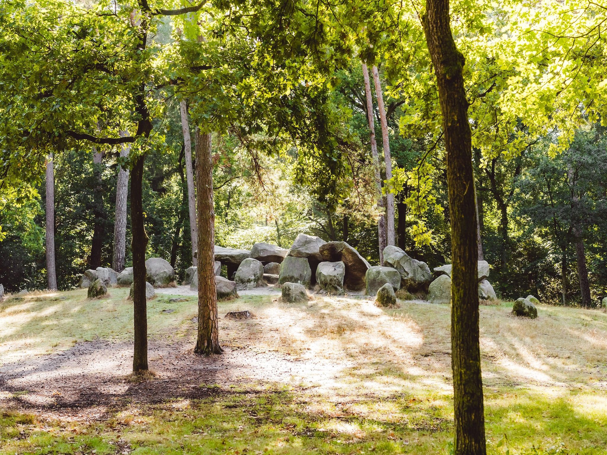 De omgeving van Hunzepark 12 in Gasselternijveen
