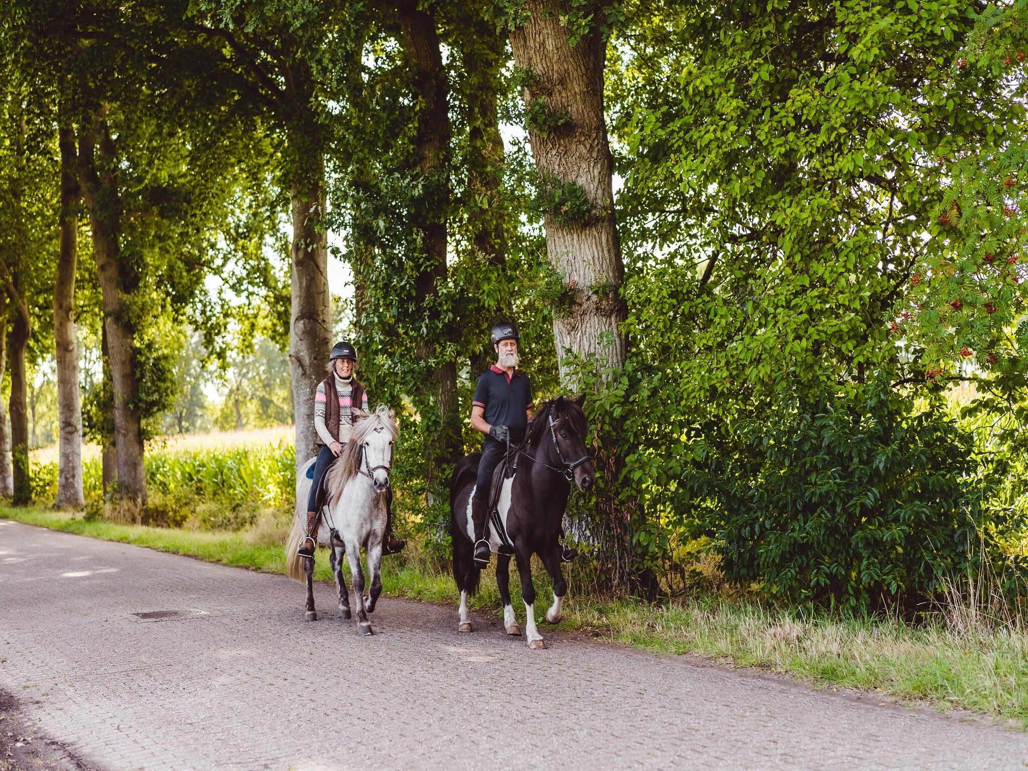 De omgeving van Hunzepark 12 in Gasselternijveen