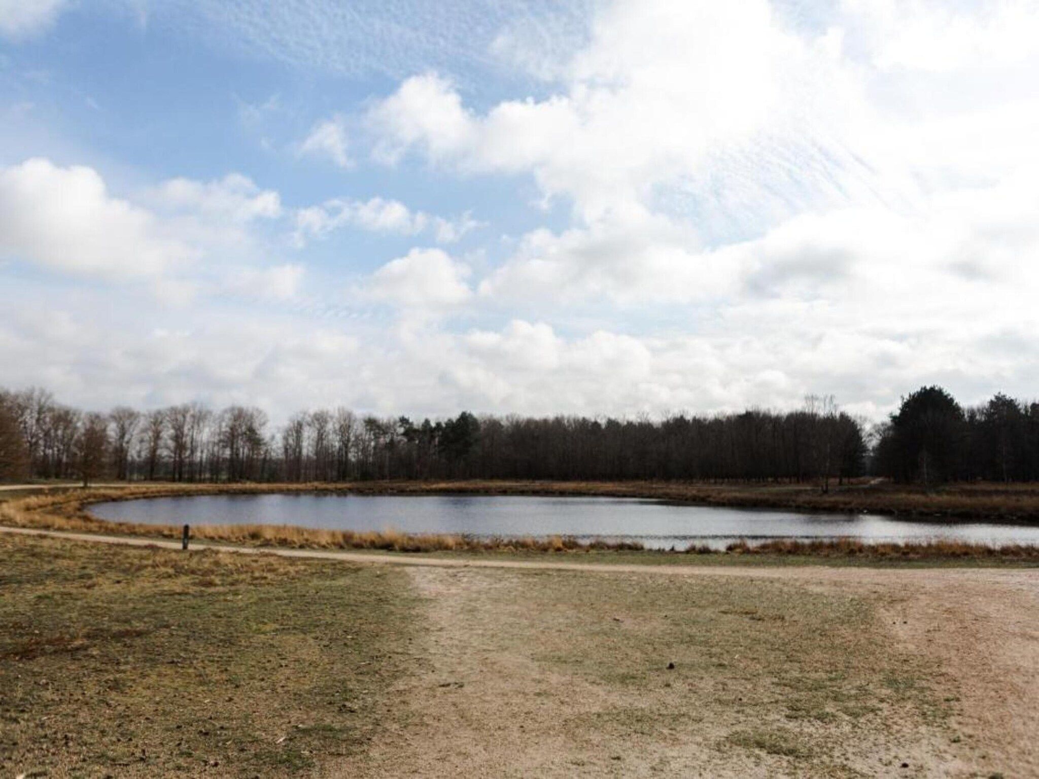 De omgeving van Bospark 't Wolfsven 10 in Mierlo