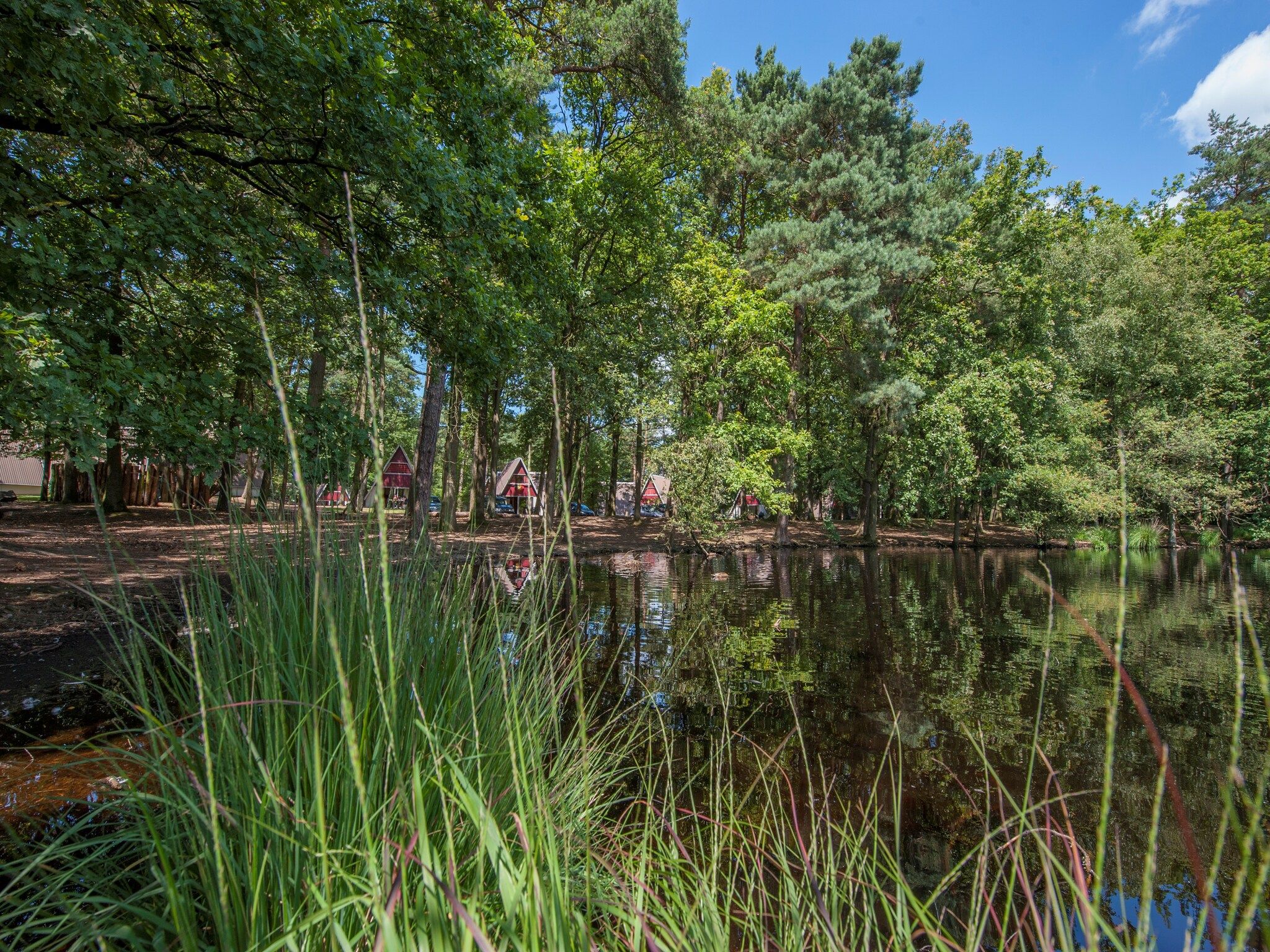 De omgeving van Bospark 't Wolfsven 11 in Mierlo