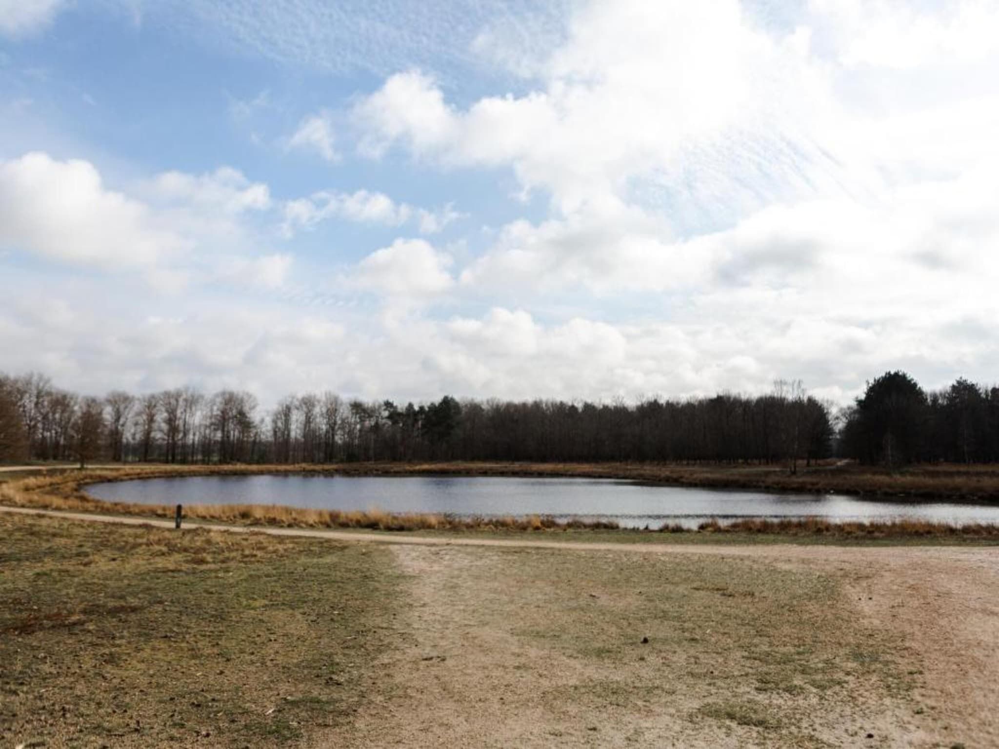 De omgeving van Bospark 't Wolfsven 11 in Mierlo