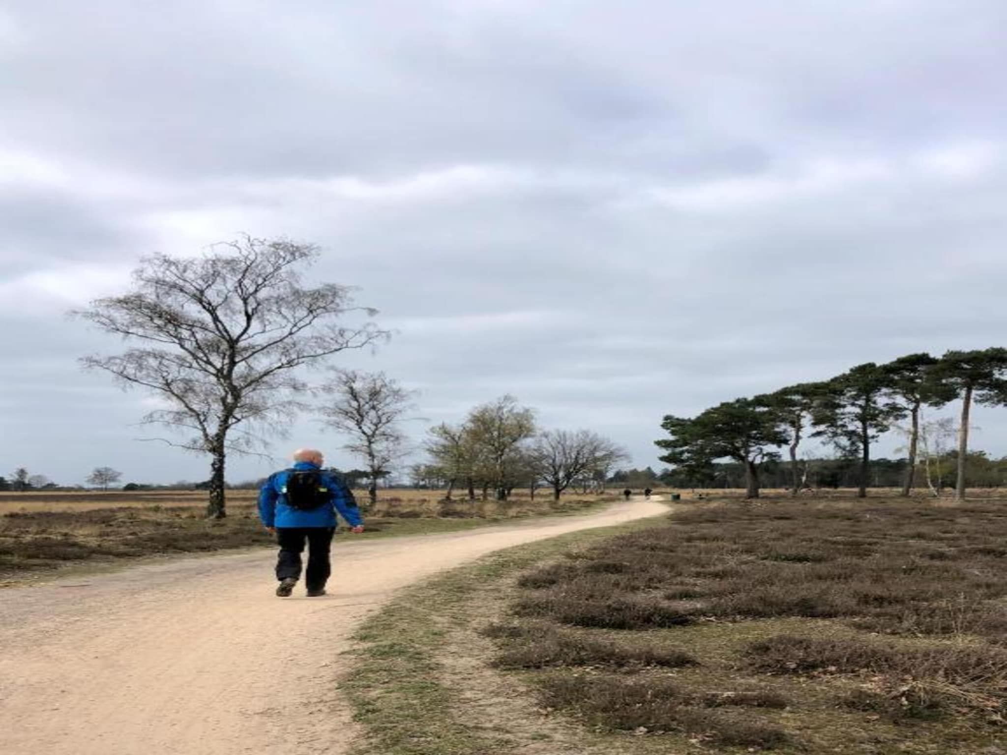 De omgeving van Bospark 't Wolfsven 11 in Mierlo