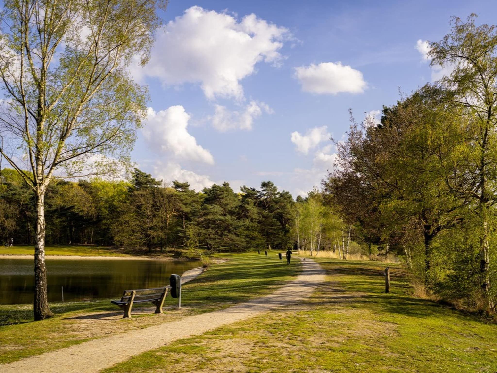 Parkfaciliteiten bij Bospark 't Wolfsven 11 in Mierlo