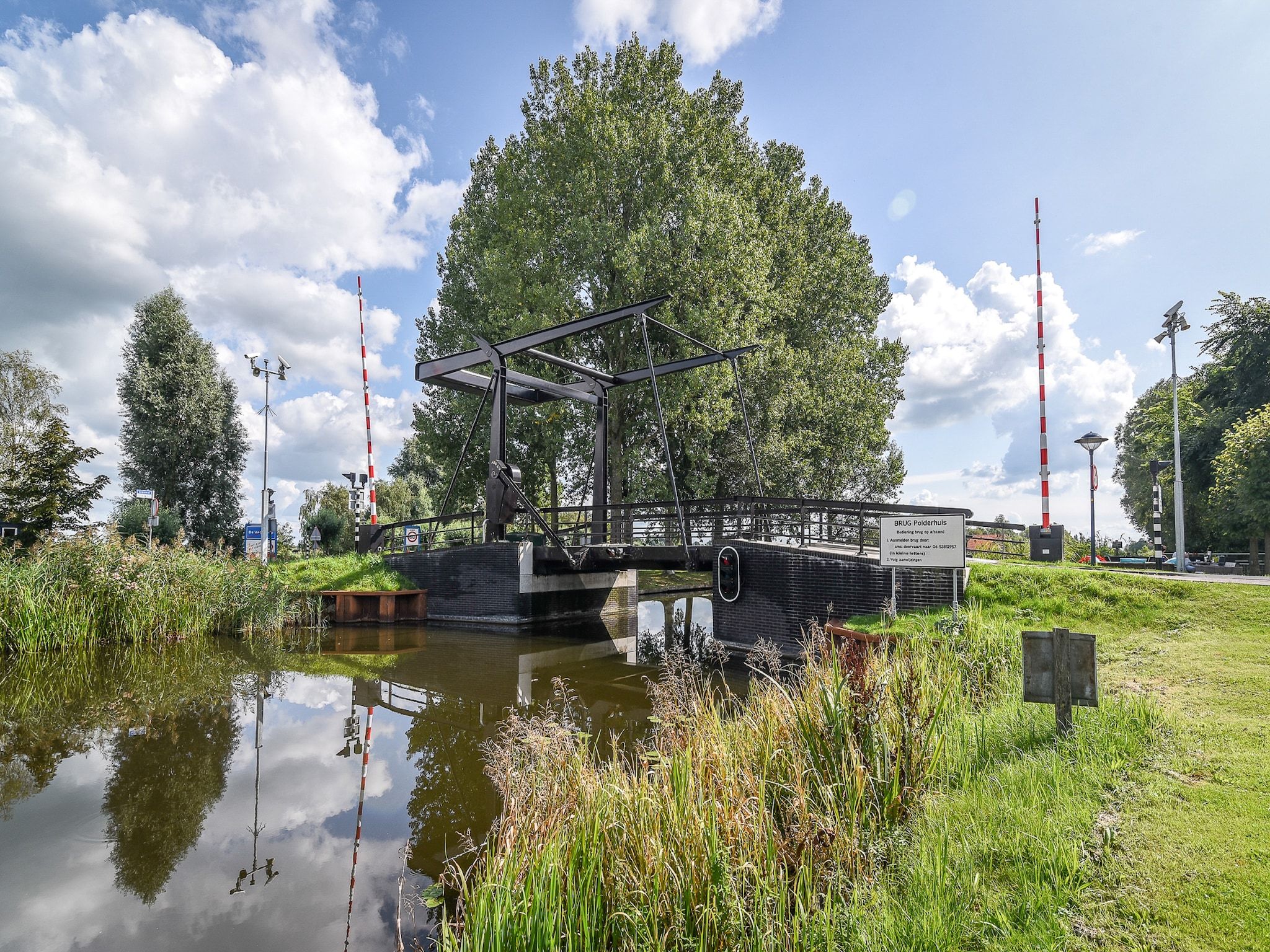 De omgeving van Chalet Grytsje in De Veenhoop