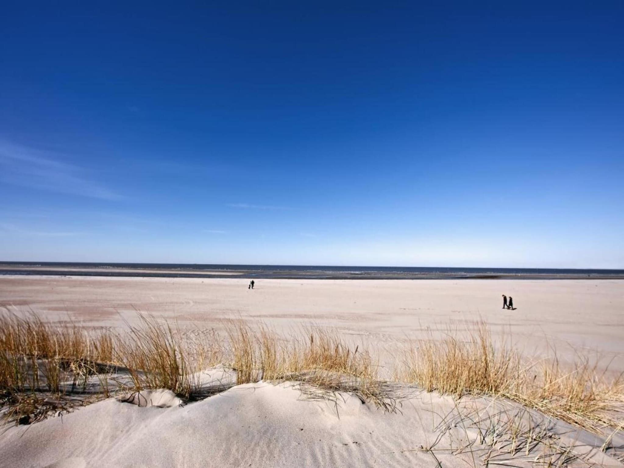 De omgeving van Fort den Haak - Chalet 1 t/m 10 huisdiervrij in Vrouwenpolder