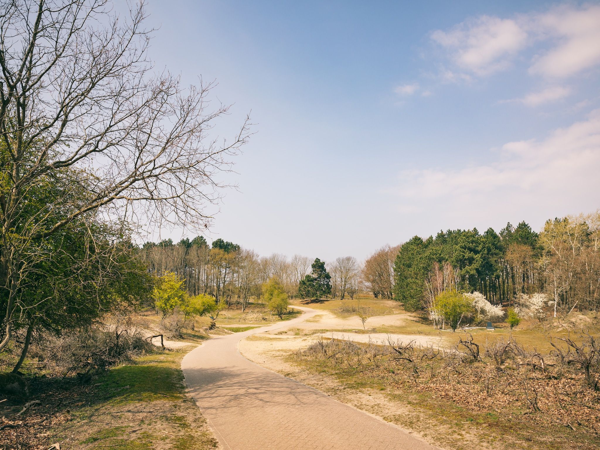 De omgeving van Duinresort Dunimar 2 in Noordwijkerhout