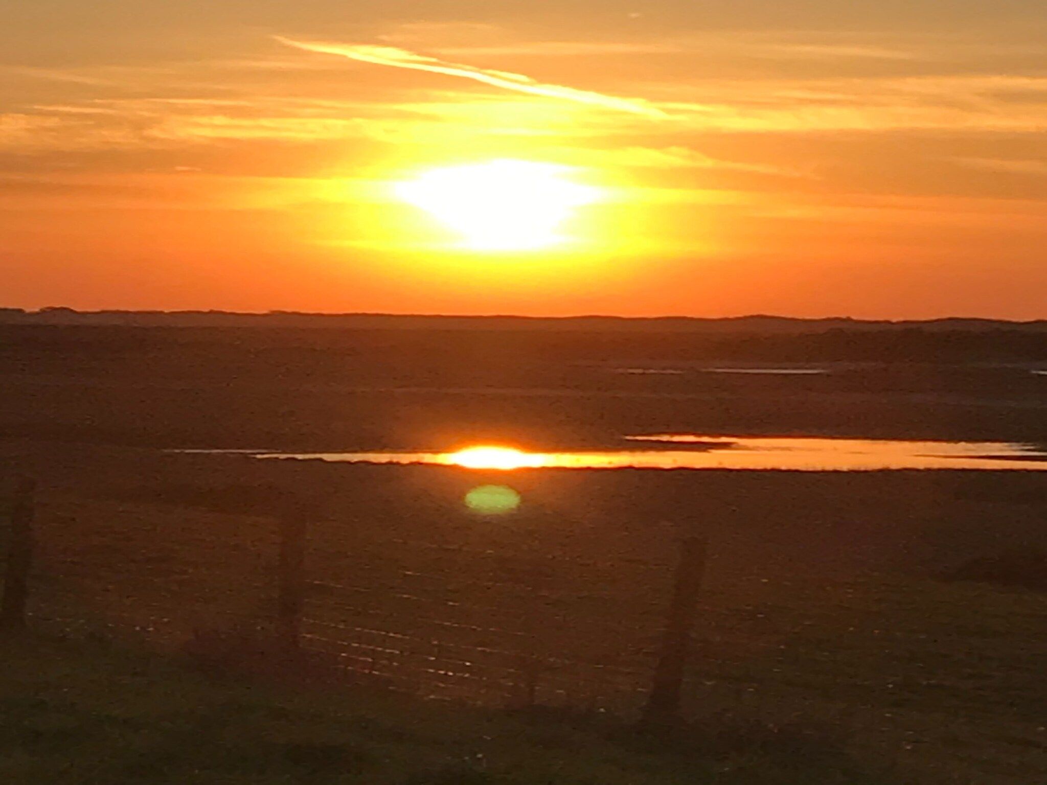 Sfeerbeeld van Lepelblad 44 in Nieuwvlietbad