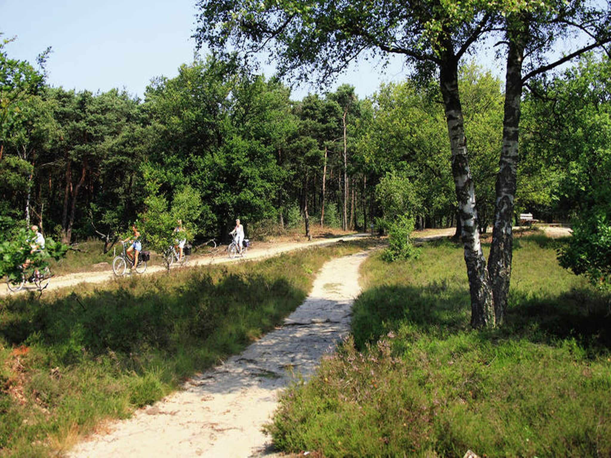 De omgeving van Huisje 84 in Stegeren
