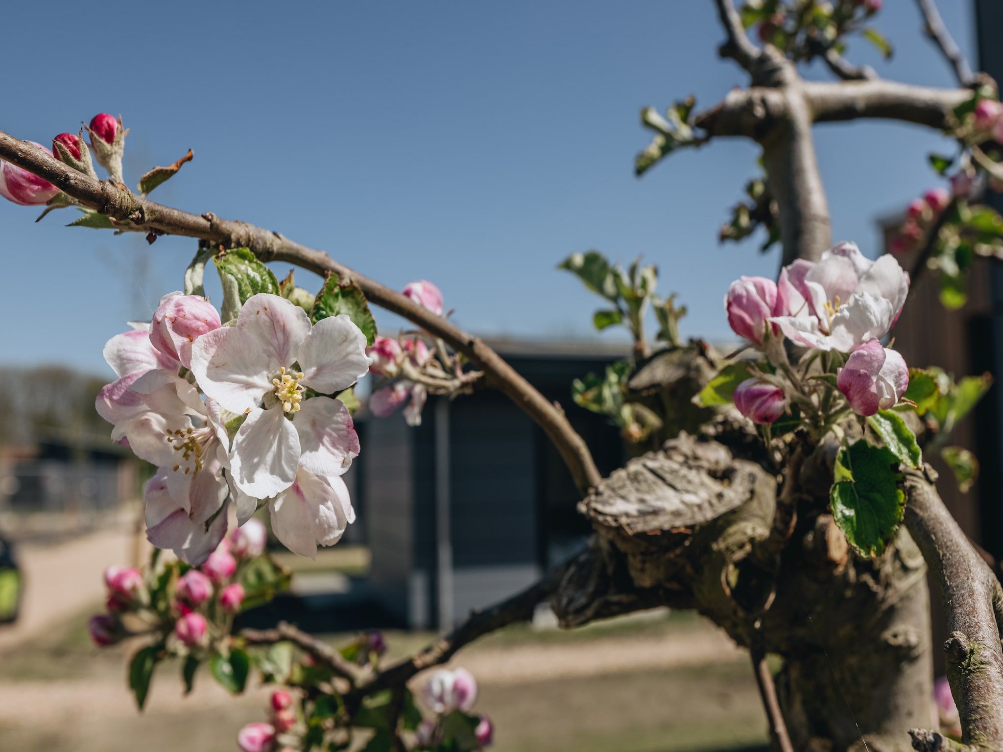 Sfeerbeeld van Park Wijdenes 1 in Wijdenes
