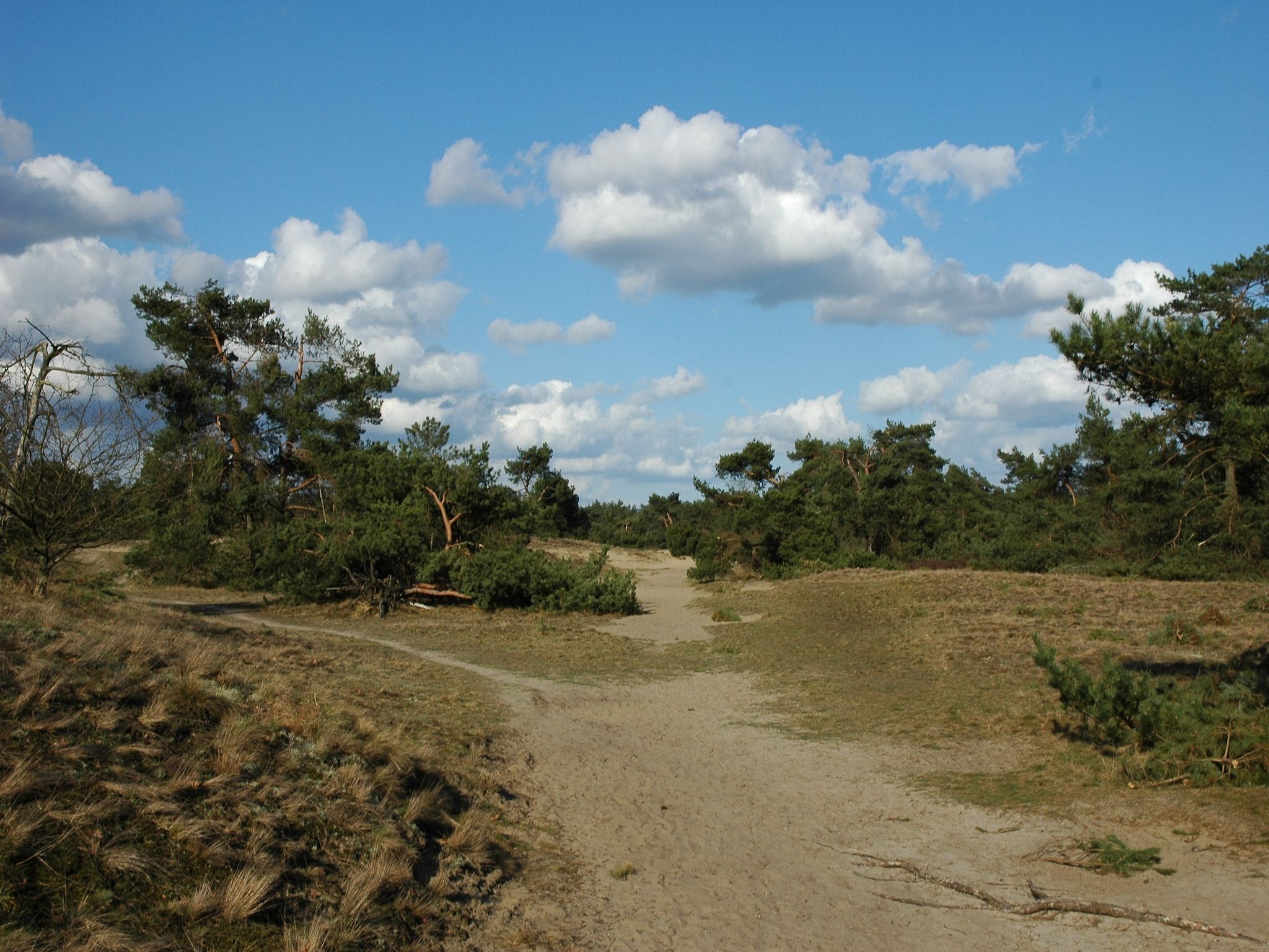 Landgoed De IJsvogel 11 in Voorthuizen - Foto 37 van 40
