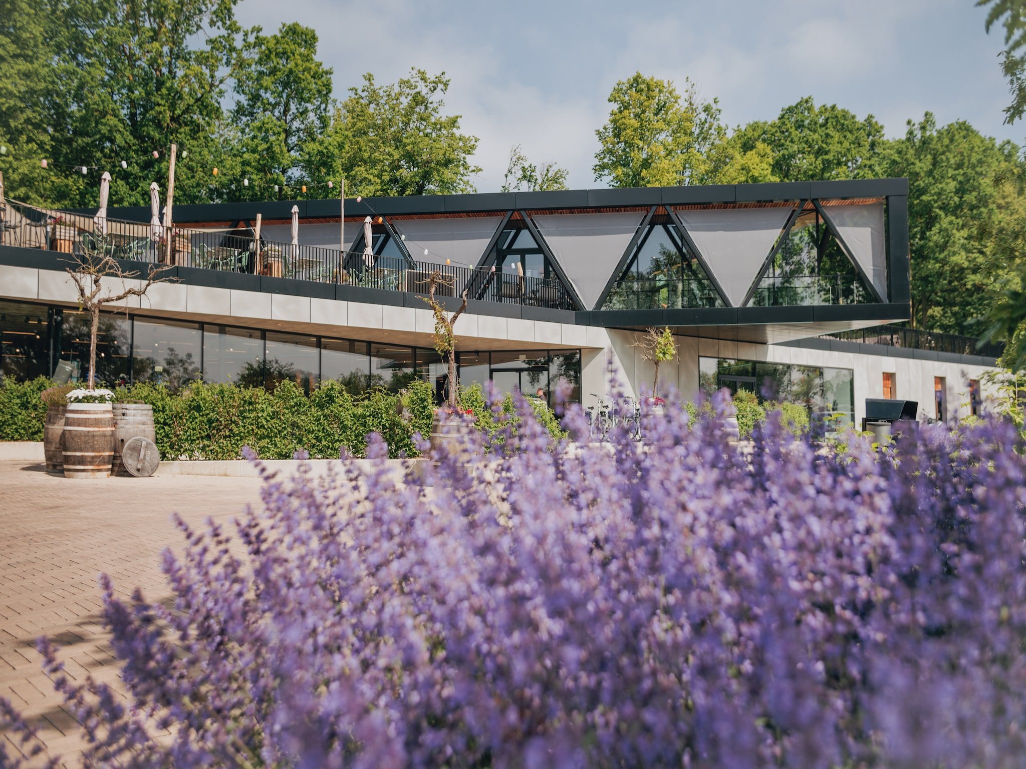 Parkfaciliteiten bij Resort Gulpen 4 in Gulpen