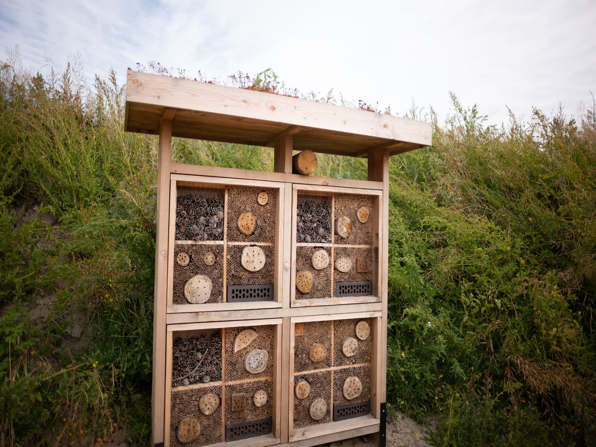Sfeerbeeld van Resort Callantsoog 5 in Callantsoog