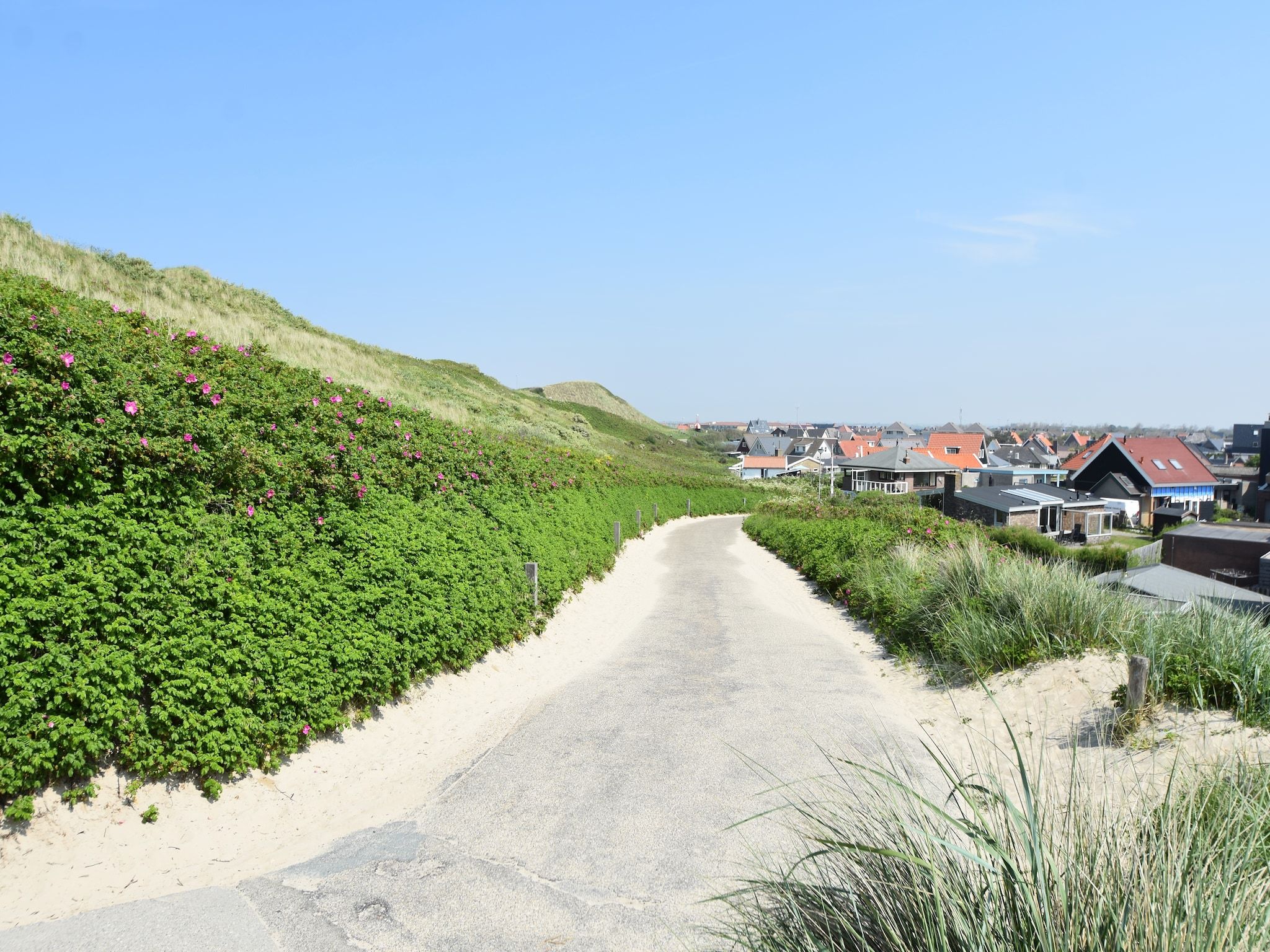 De omgeving van Hazenborgh - Duinhuis 1 in Callantsoog