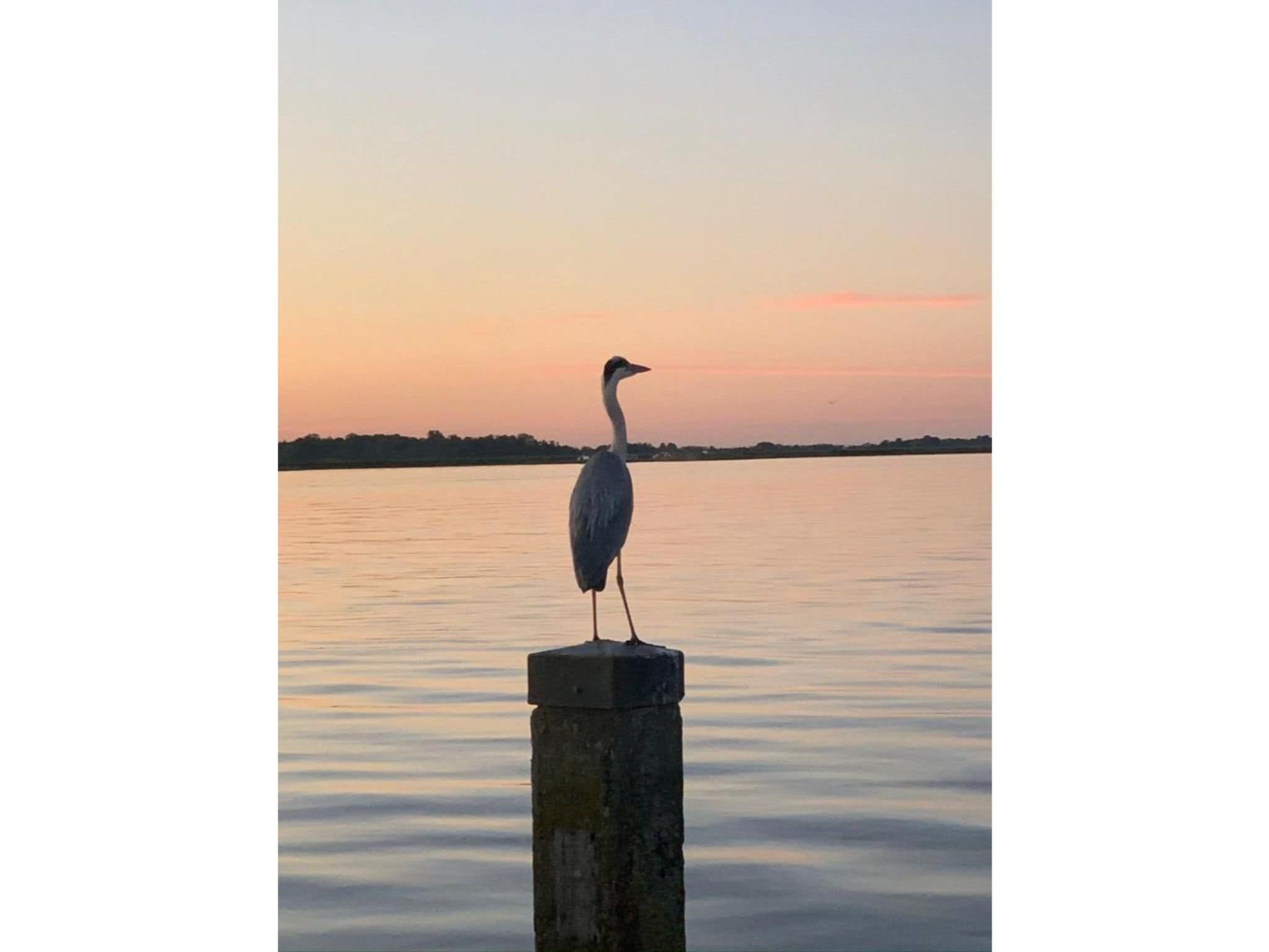 Houseboat Earrebarre - Paviljoenwei 1 - Offingawier in Offingawier - Foto 40 van 40