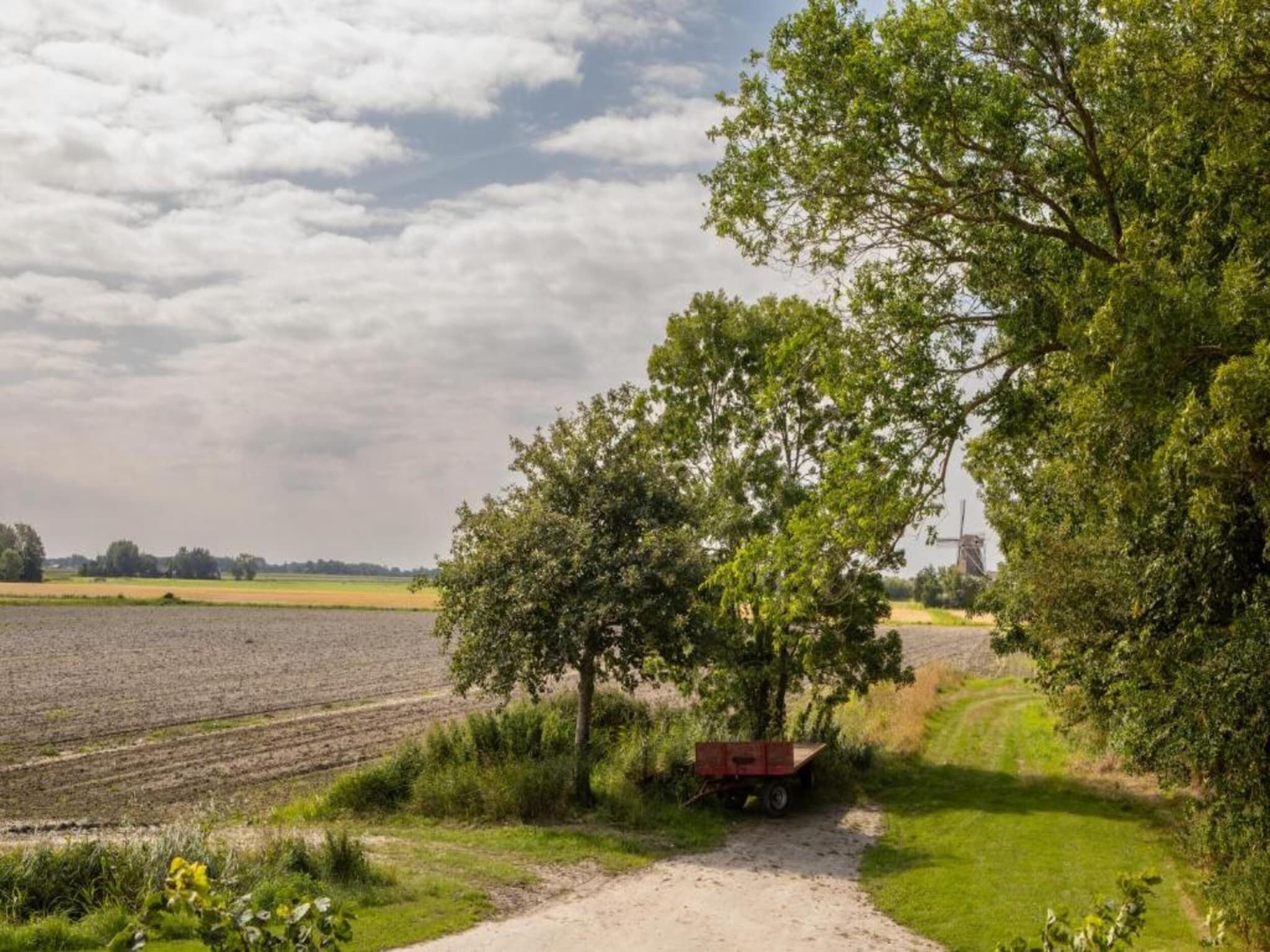 B&B boerderij GRUTSK in Suwald - Foto 38 van 38