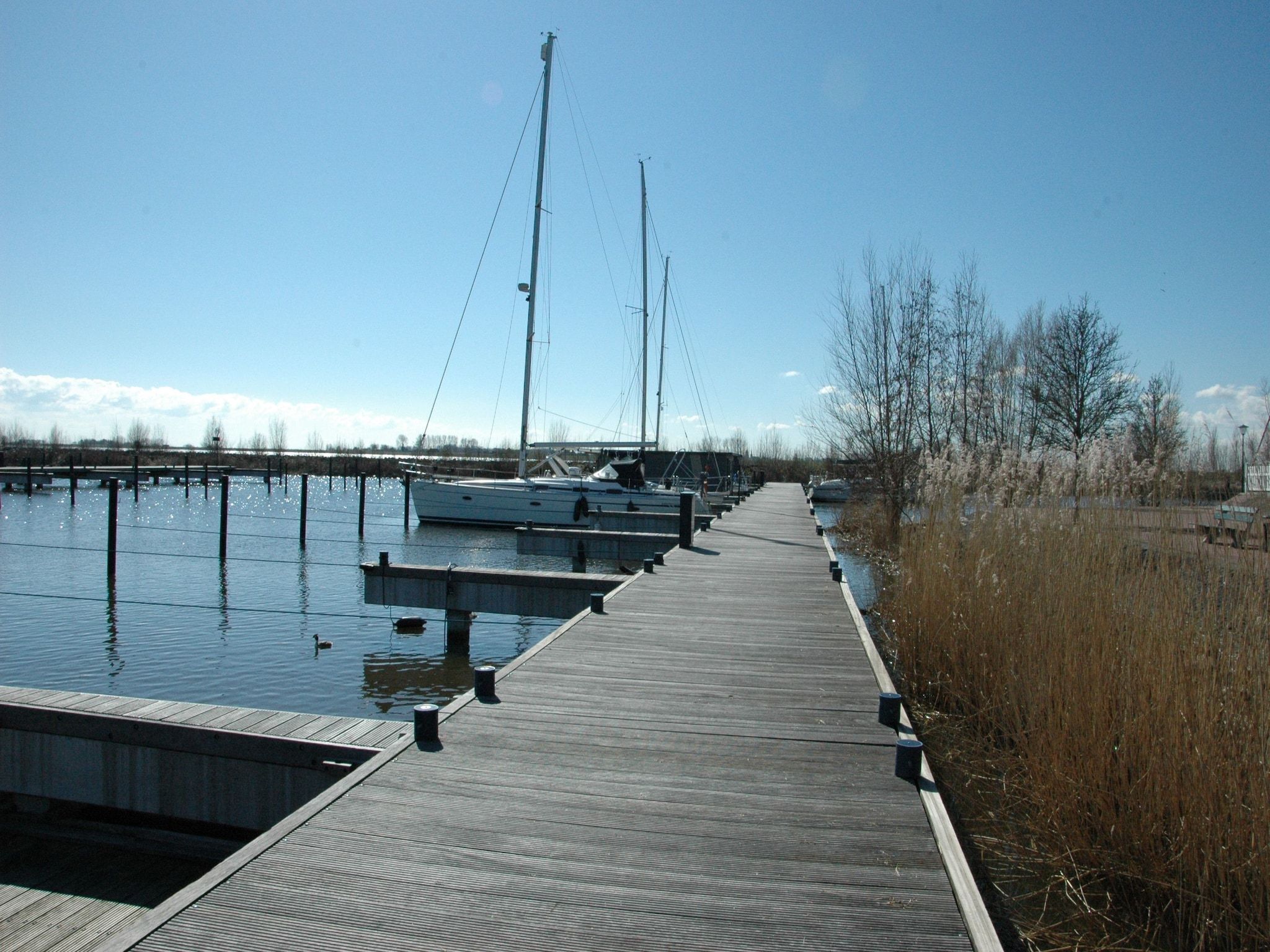 Boot Zonder Naam in Volendam - Foto 23 van 40