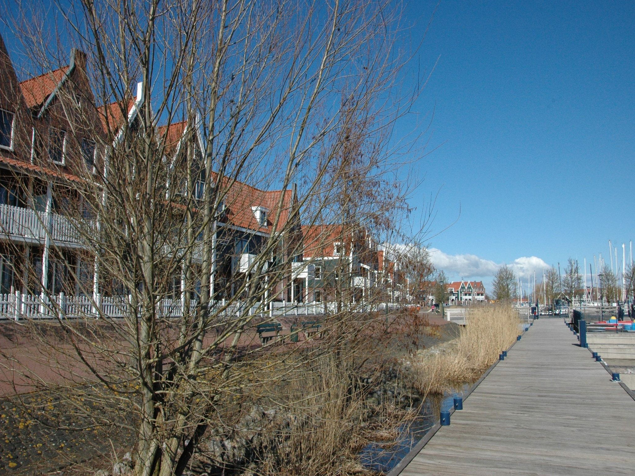 Boot Zonder Naam in Volendam - Foto 25 van 40