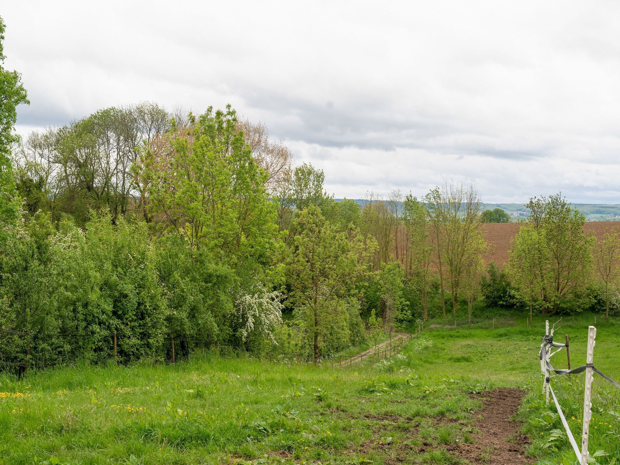De tuin van Valleyview Cottages - NR03 in Ubachsberg