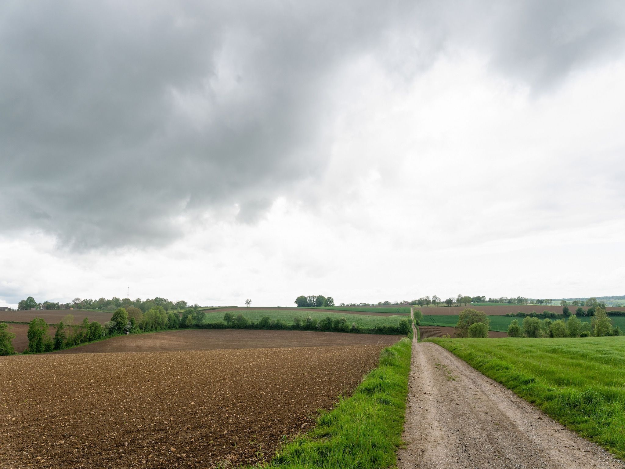 De omgeving van Valleyview Cottages - NR15 in Ubachsberg