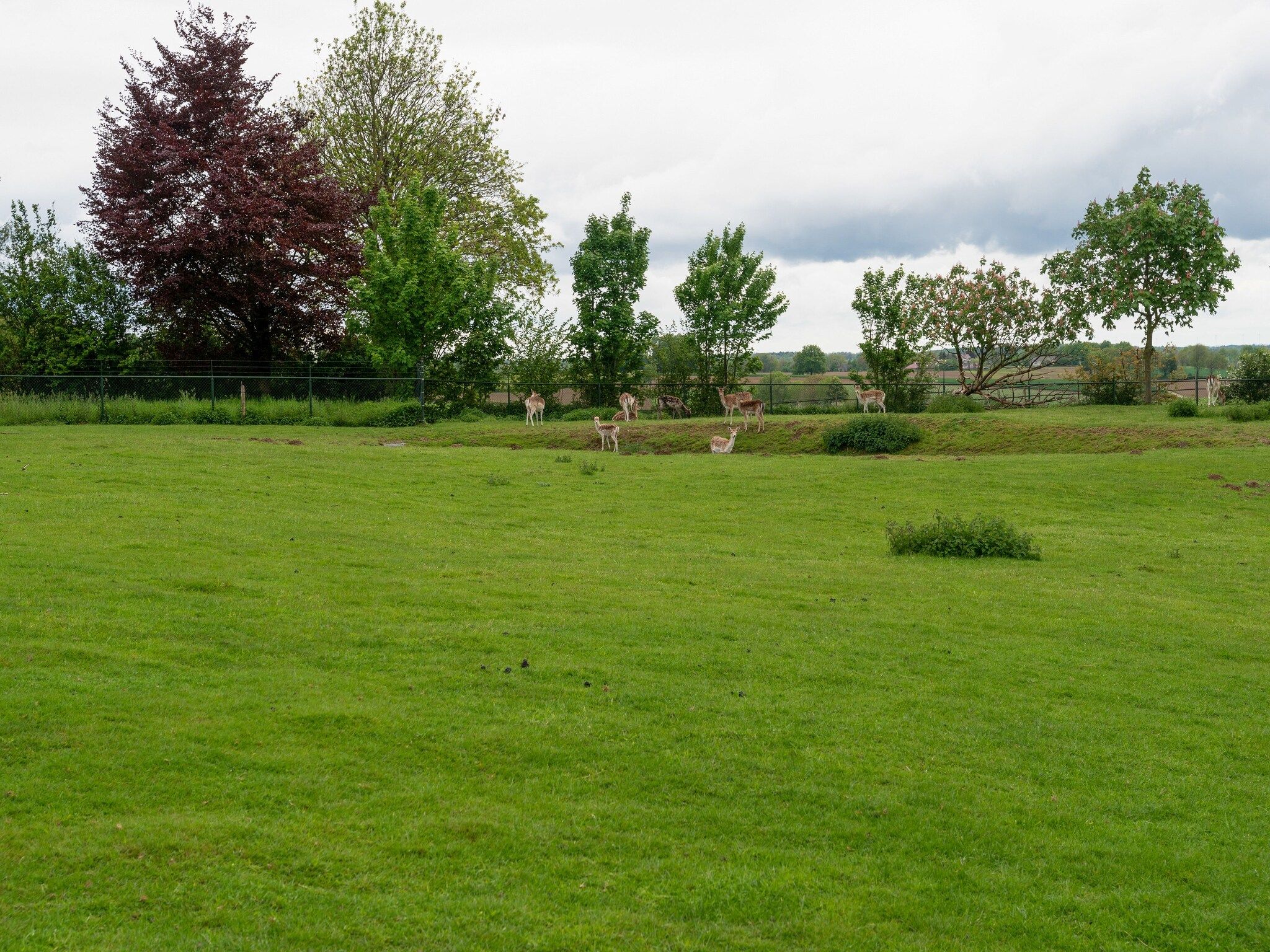 Valleyview Cottages - NR12 in Voerendaal - Foto 32 van 36