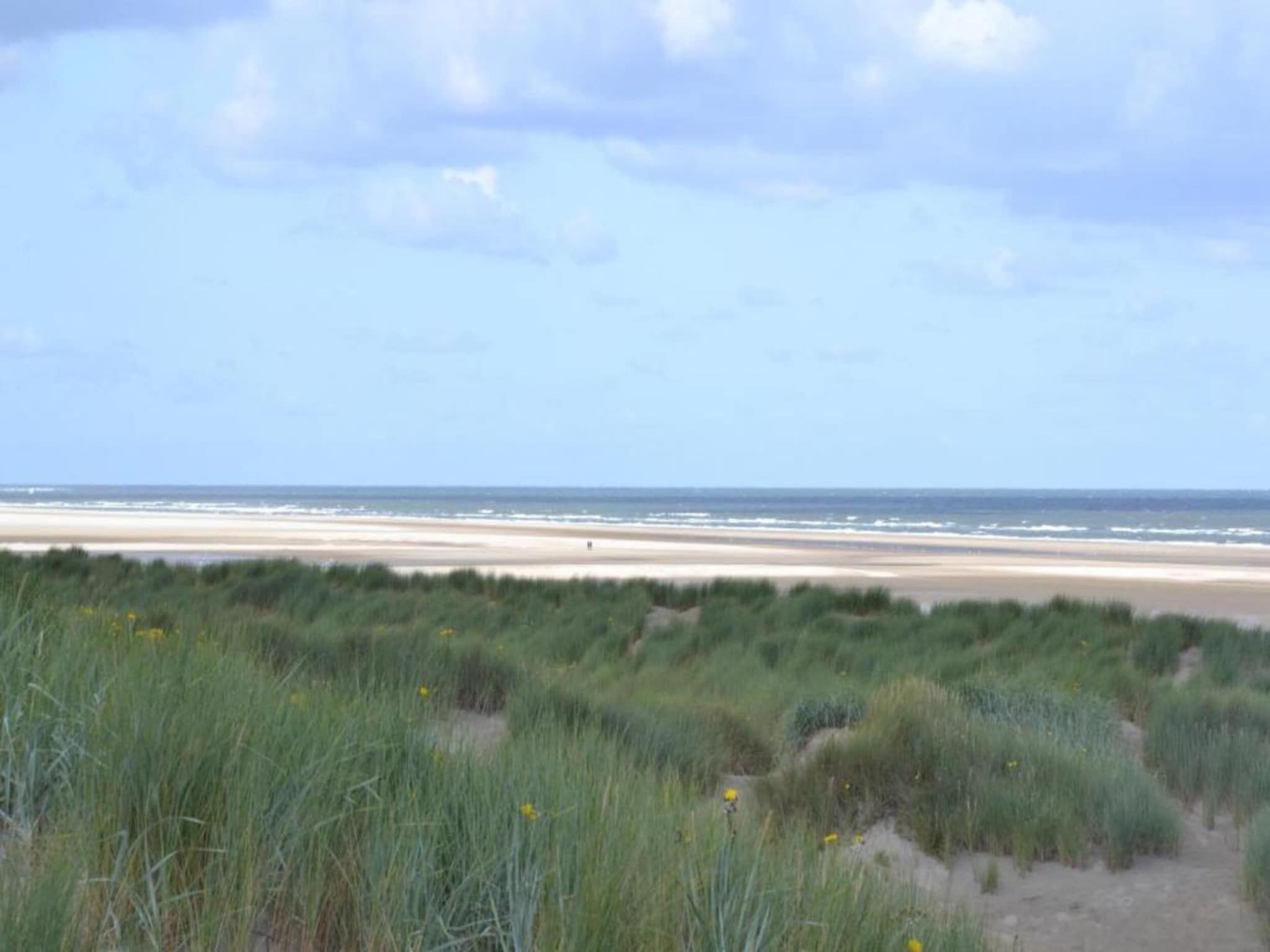 Beach Resort Nieuwvliet-Bad 14 in Nieuwvliet-Bad - Foto 37 van 40