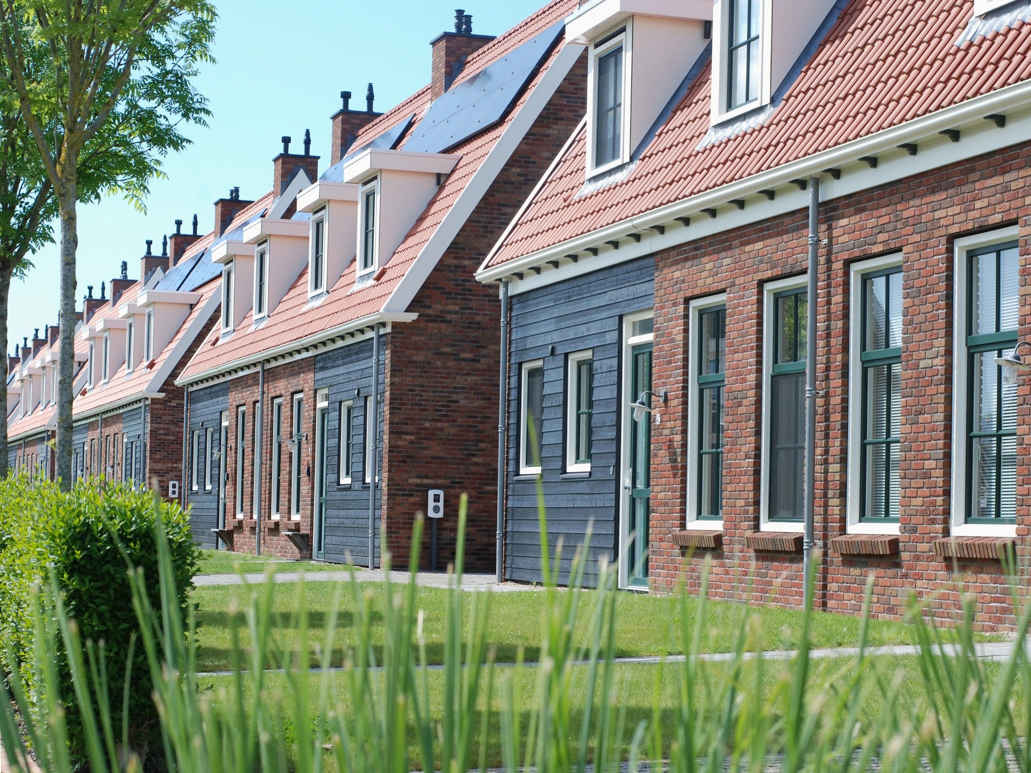 De tuin van 8-persoons geschakeld - 1 in Colijnsplaat